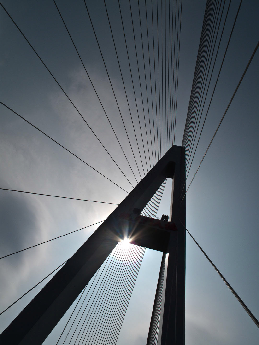 Photo by Jorge Parra.