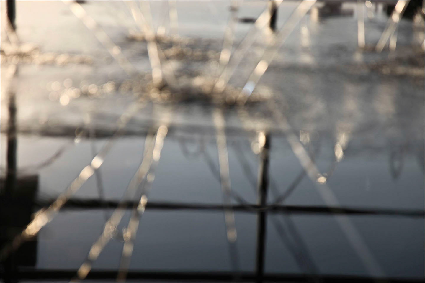 Photo by ©Jorge Parra