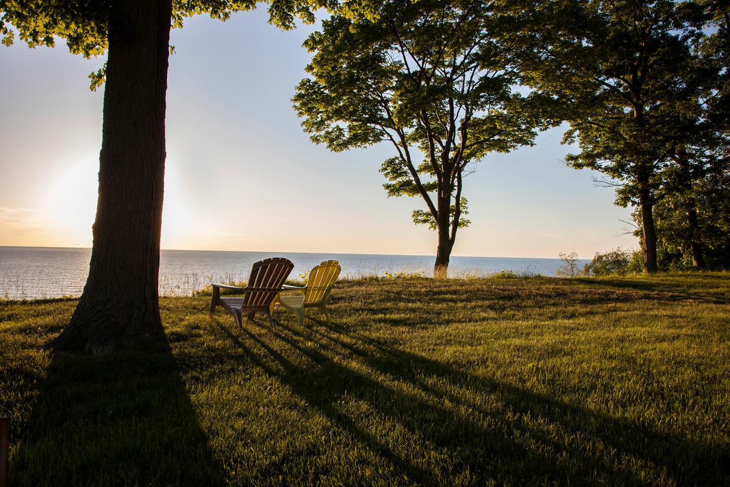 Photo by ©Jorge Parra /www.SyntheticHabitat.com