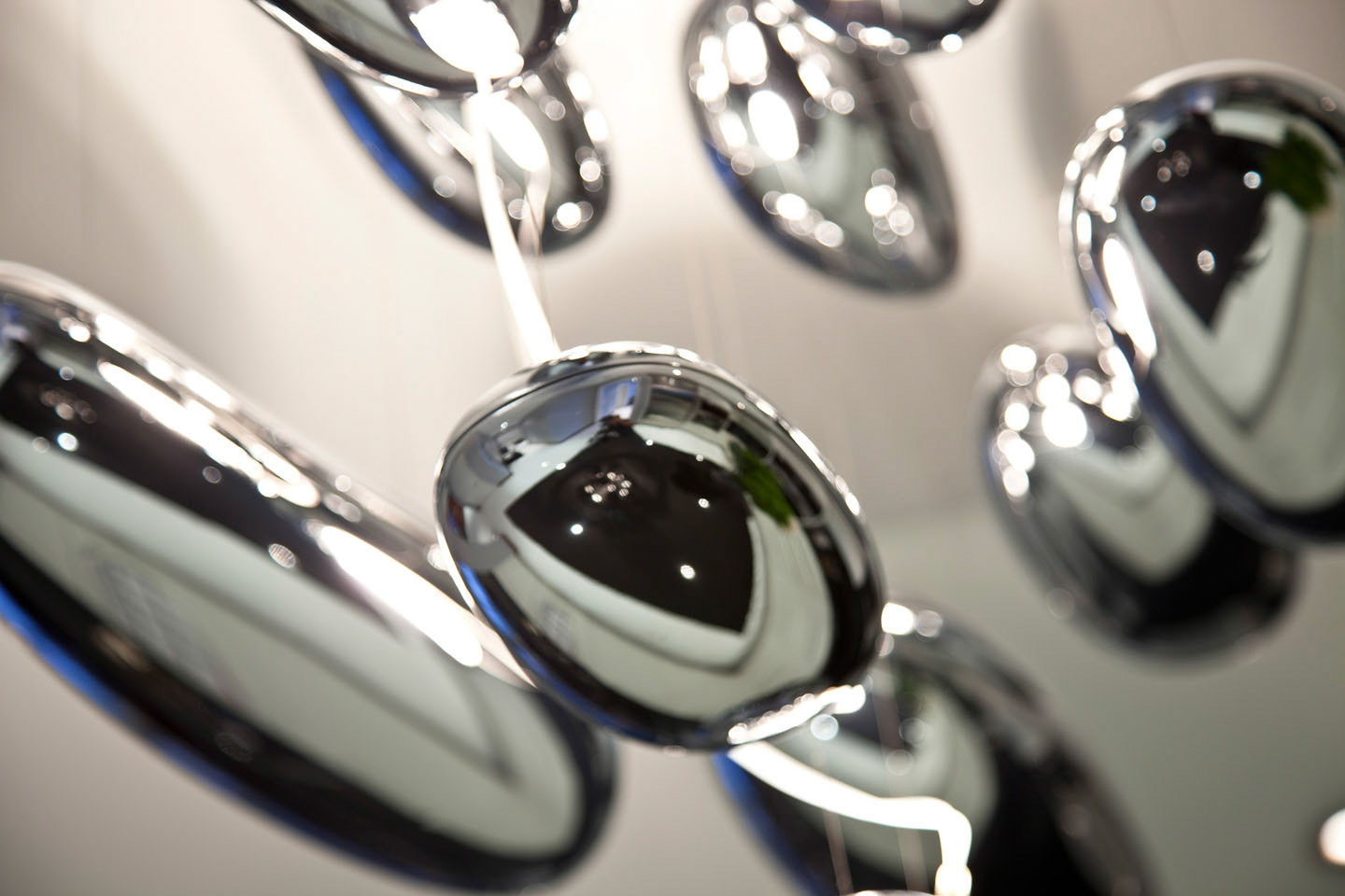 Photo by ©Jorge Parra