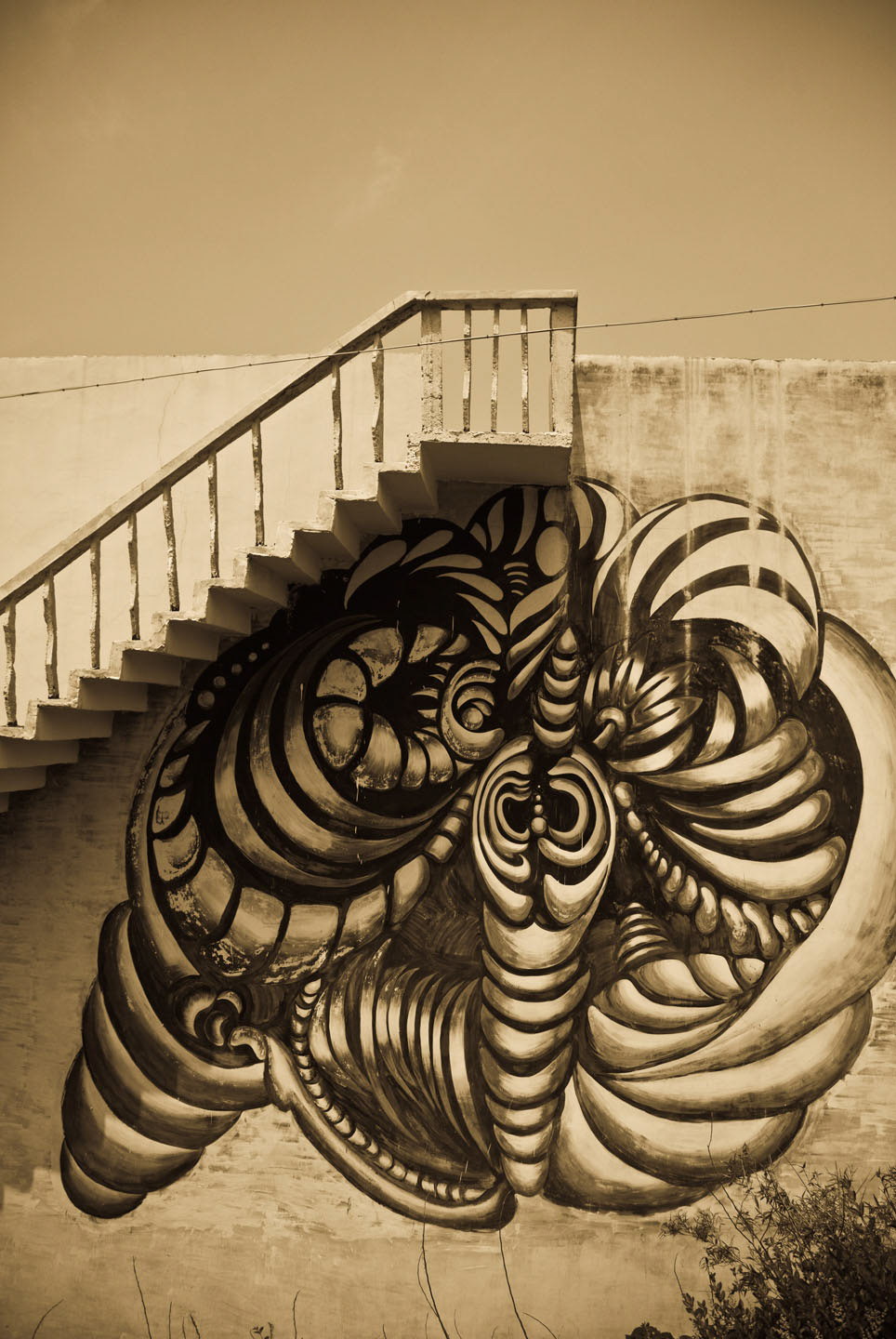 Photo by Jorge Parra.