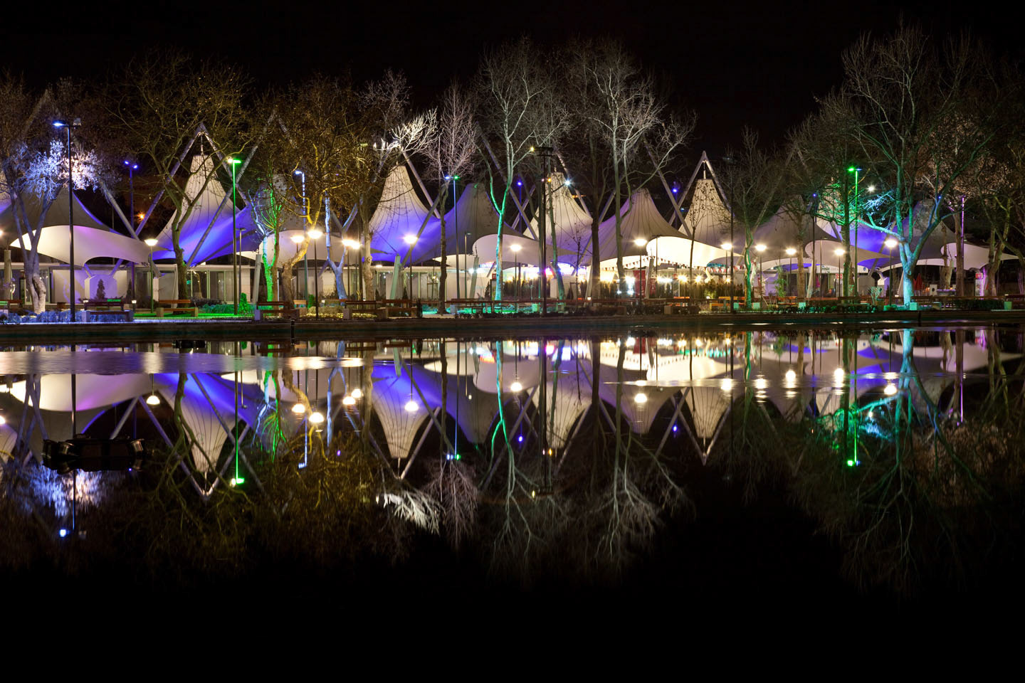 Photo by Jorge Parra.