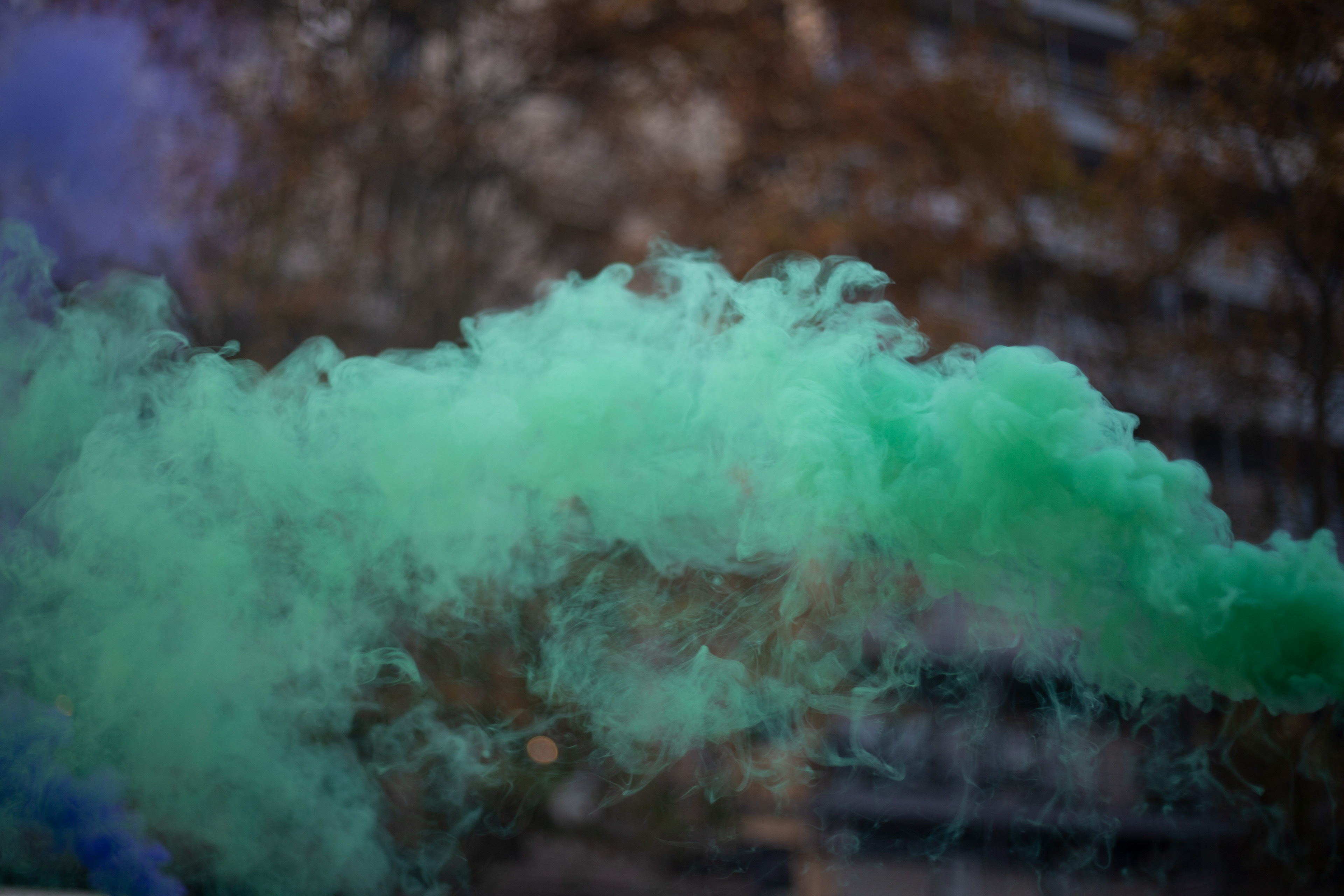 Marcha a siete años del primer Ni una menos . Buenos Aires Junio de 2024 / Regina Araujo 