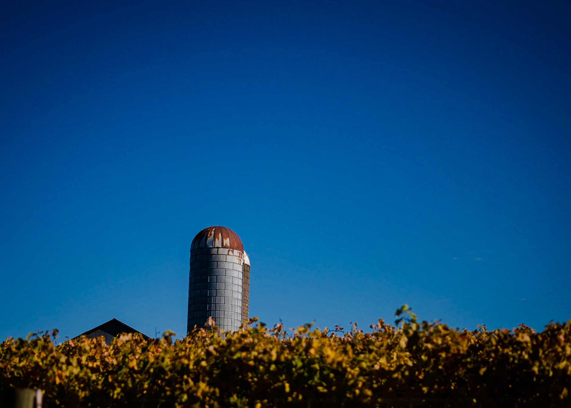 Marion County Oregon 2021