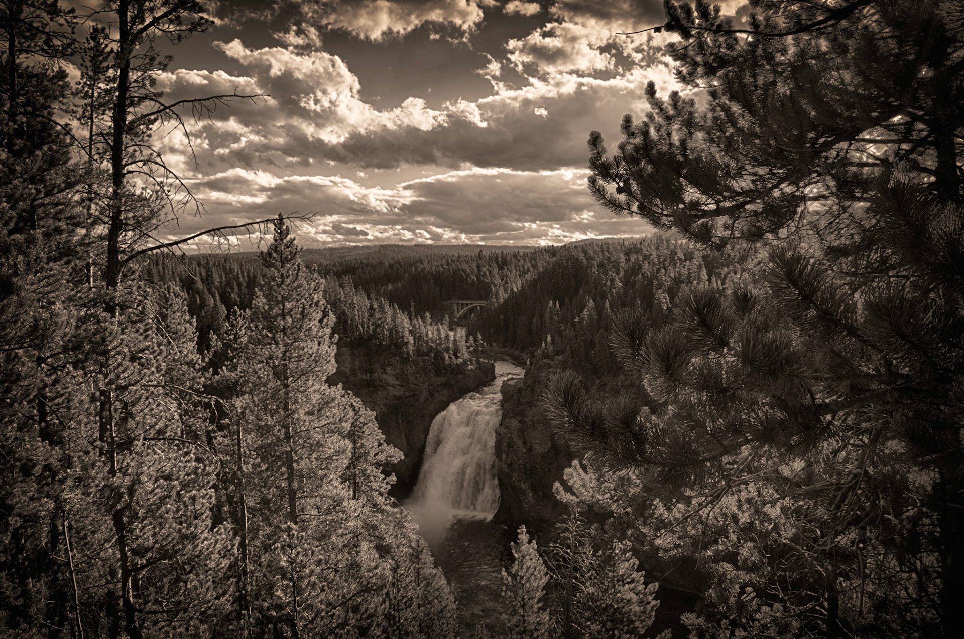 Yellowstone National Park