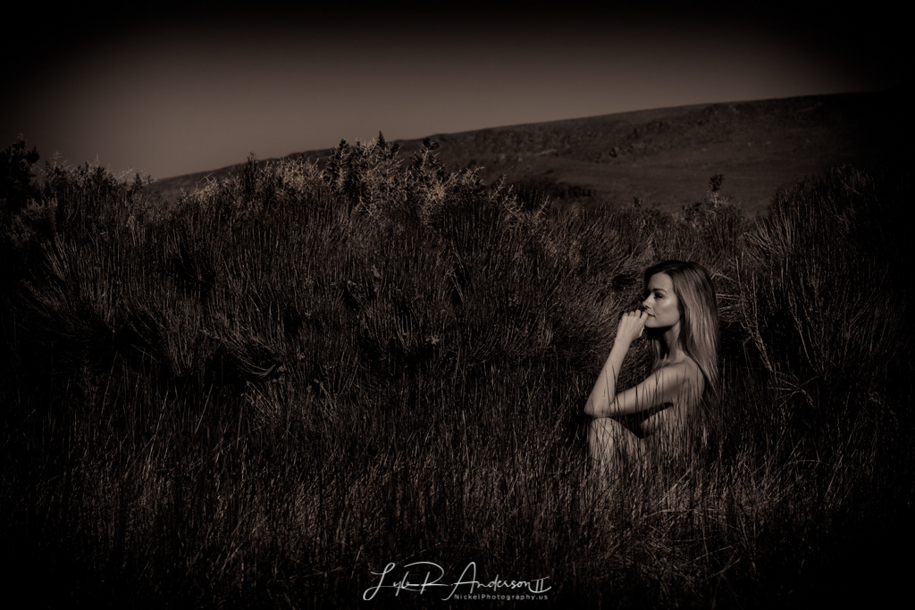 Olivia Preston - OliviaPreston3.com