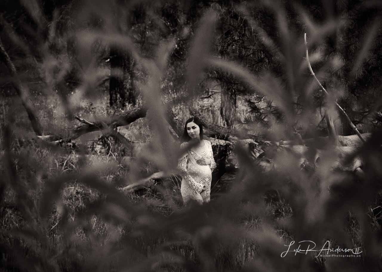 Floofie -   www.floofiesworld.com