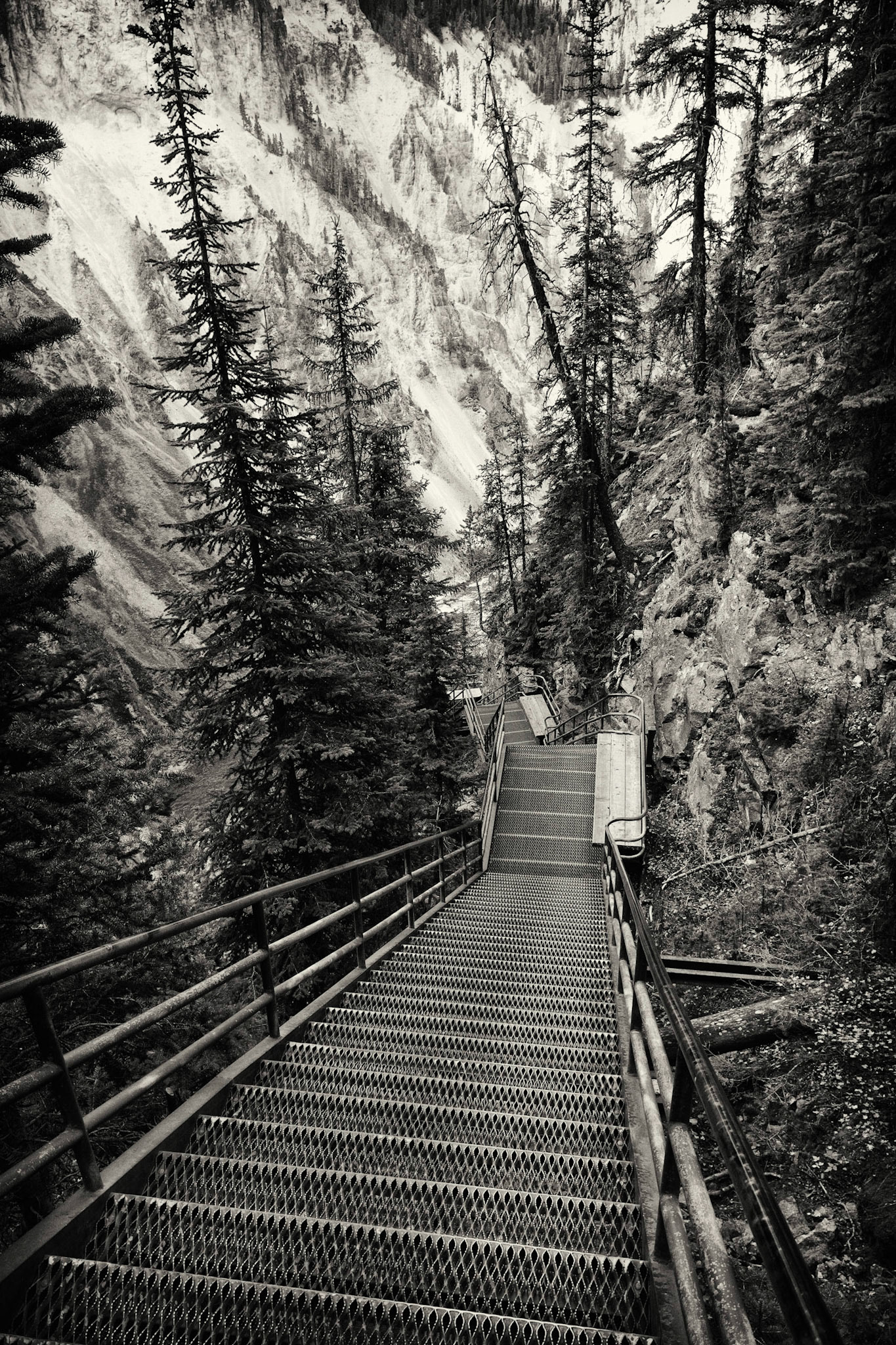 Yellowstone National Park