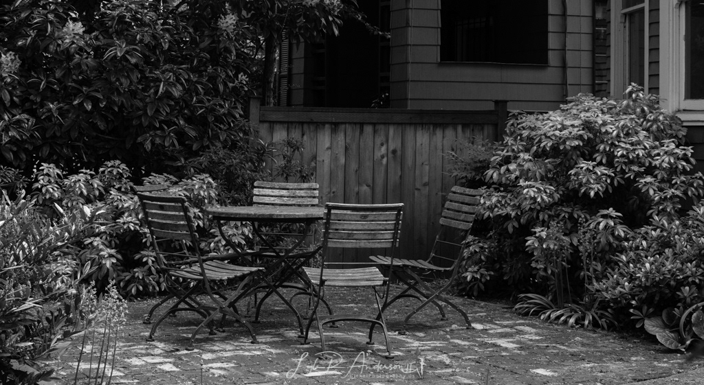 Capital Hill - Seattle, WA