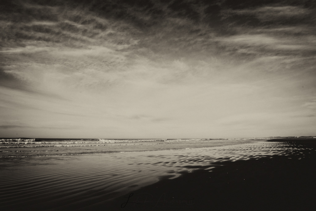 Washington Coast