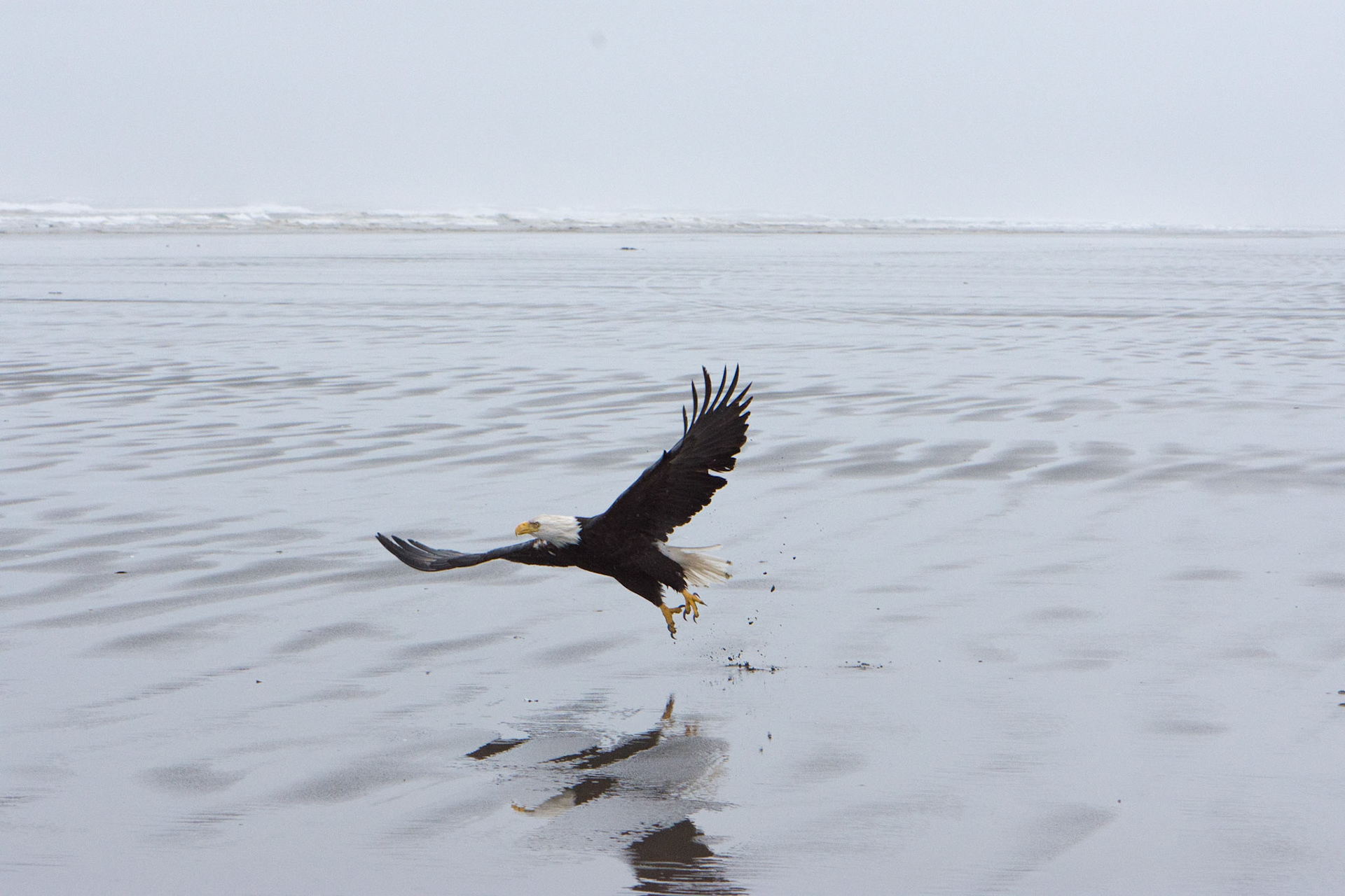 Washington Coast
