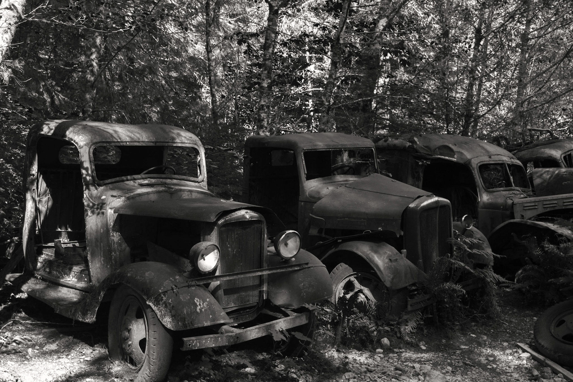 Opal Creek Wilderness