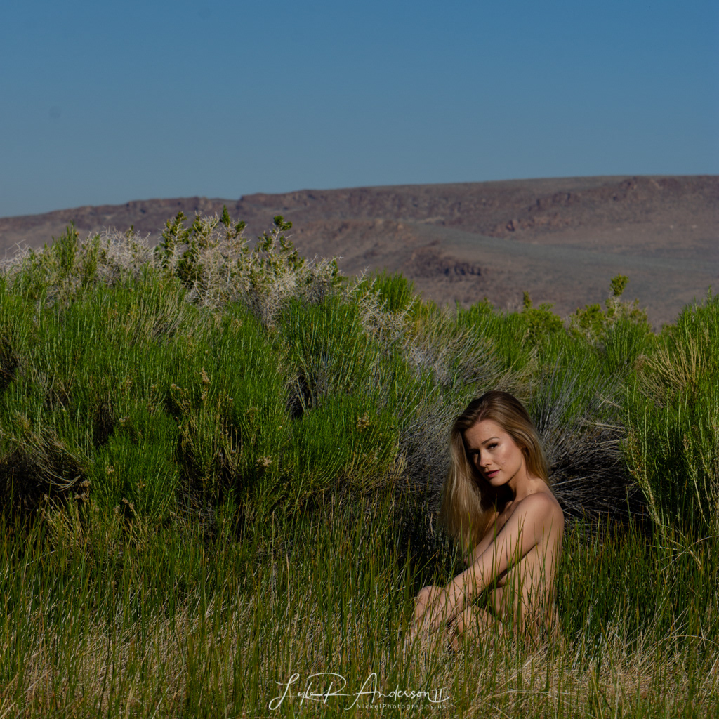 Olivia Preston - OliviaPreston3.com