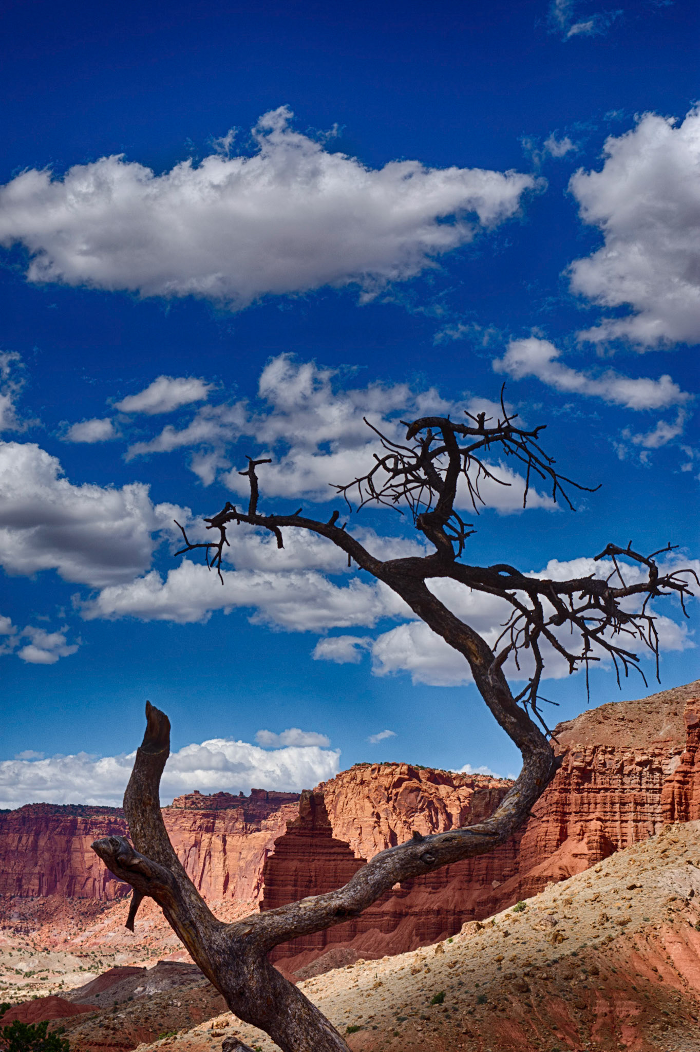 Capital Reef National Park
