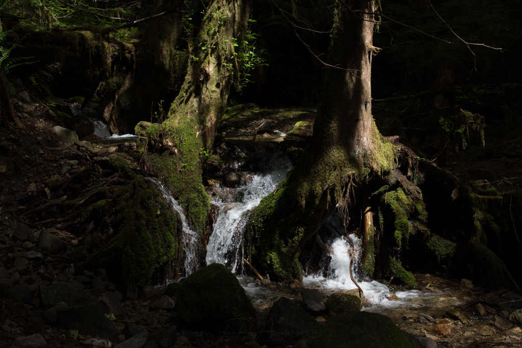Opal Creek Wilderness - Oregon