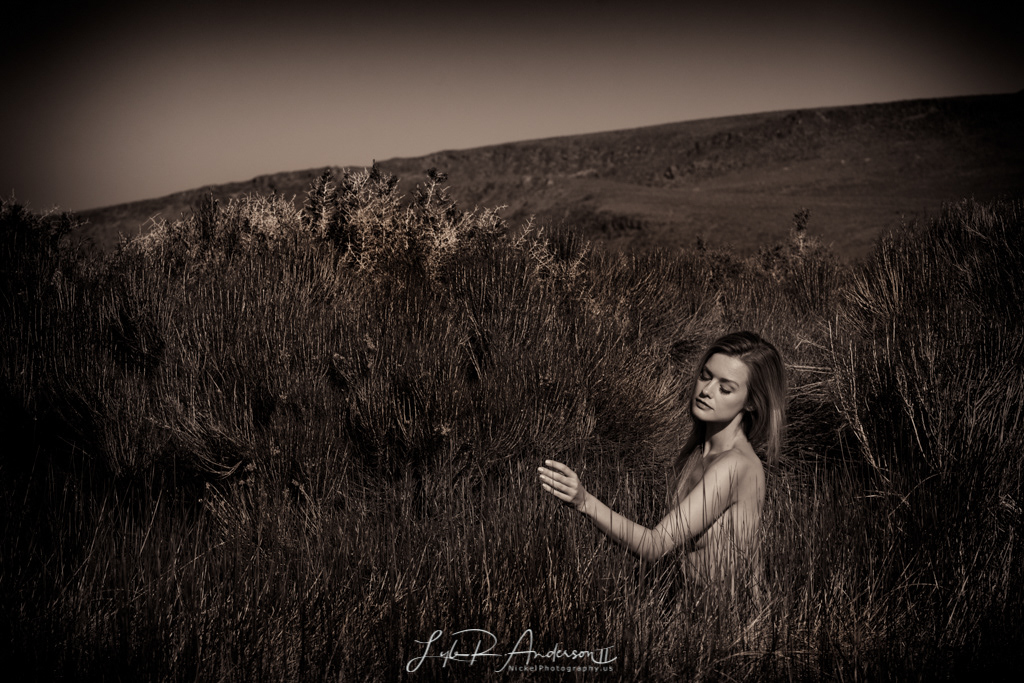 Olivia Preston - OliviaPreston3.com