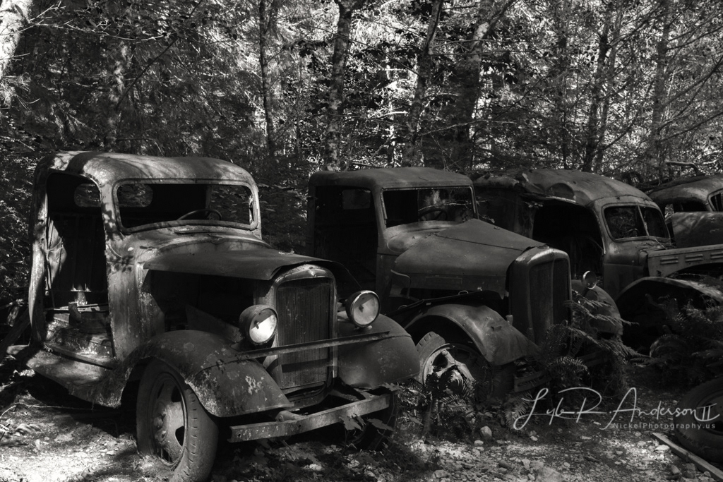 Opal Creek Wilderness - Oregon