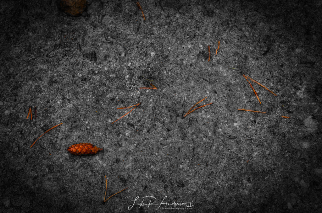 Rocky Mountain National PArk