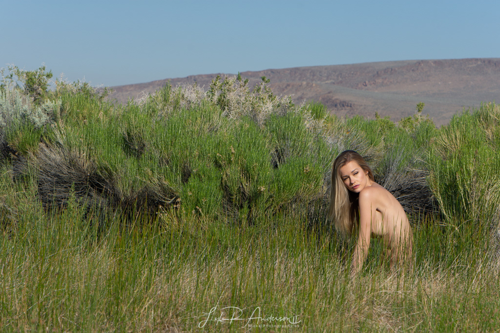 Olivia Preston - OliviaPreston3.com