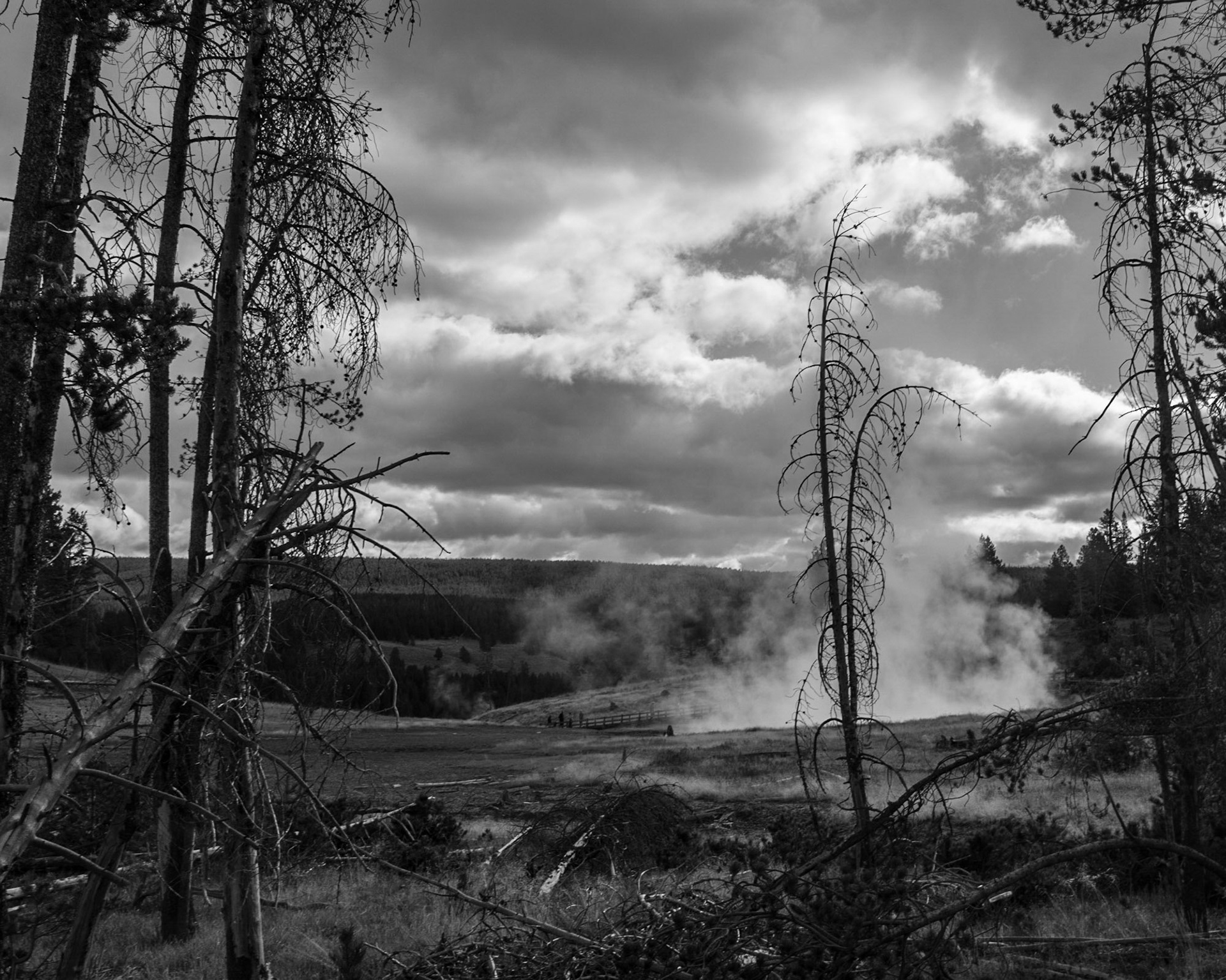 Yellowstone National Park