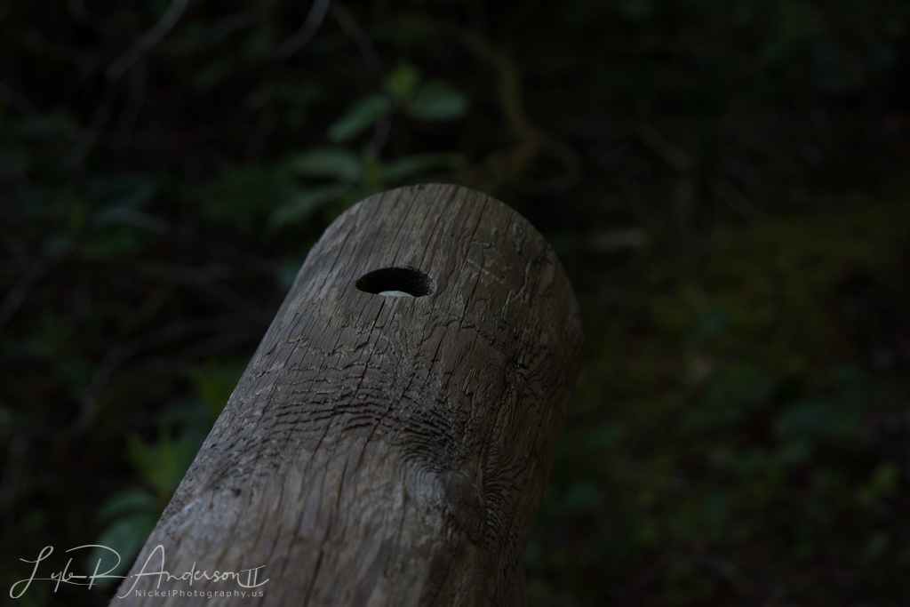 Opal Creek Wilderness - Oregon