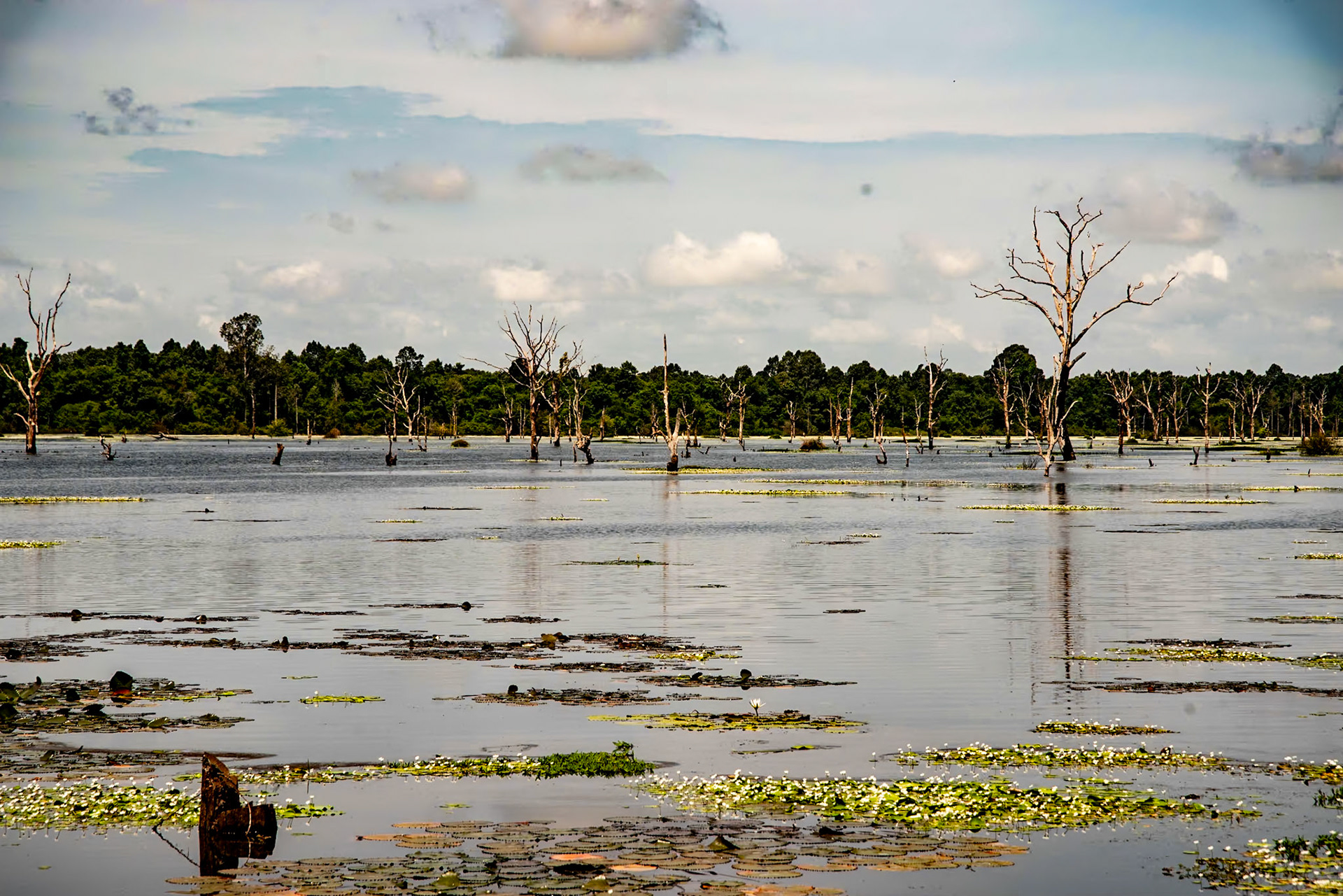 From the walkway to Neak Poan Temple