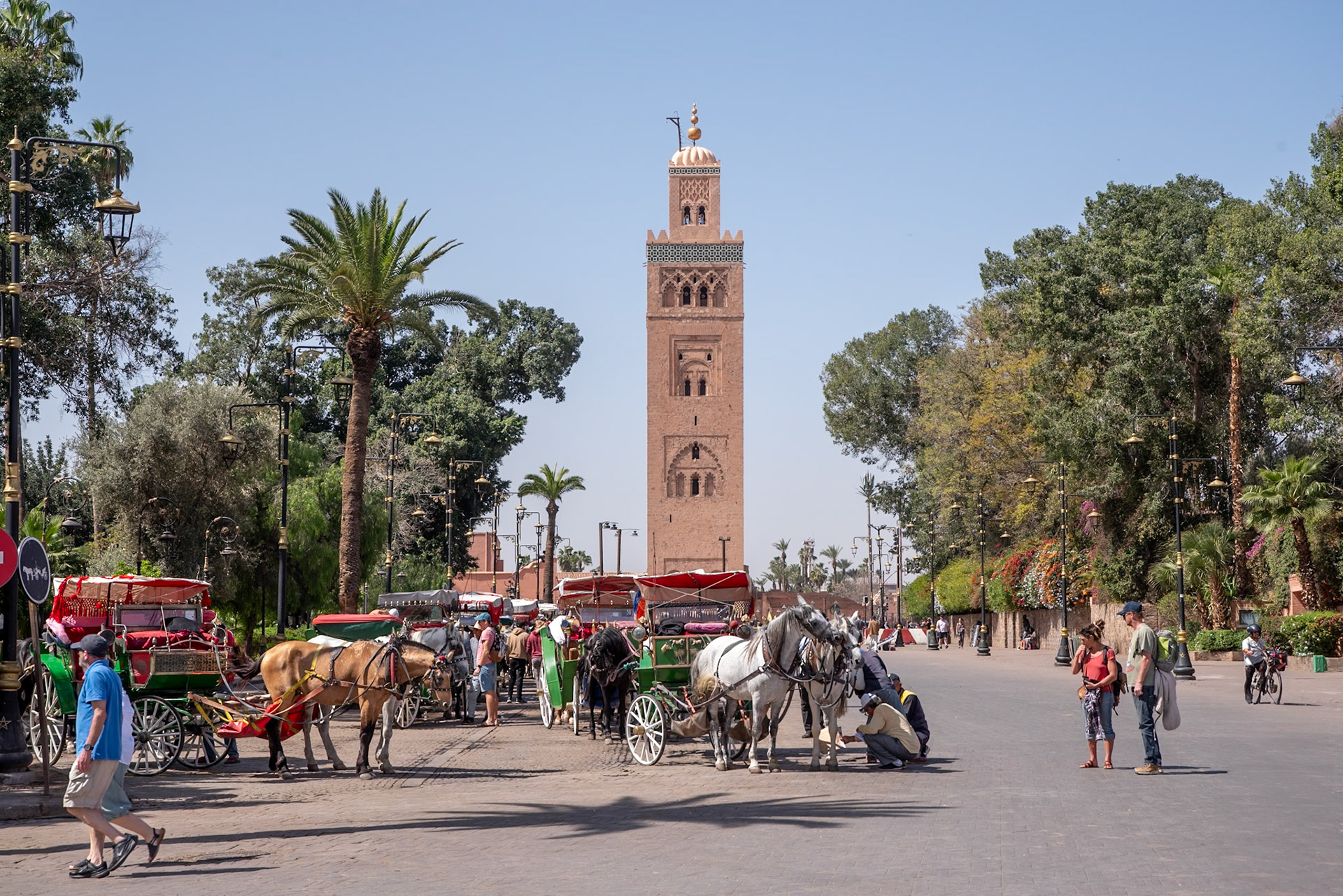Jemma el-Fna square with the Koutoubia Mosque in the background