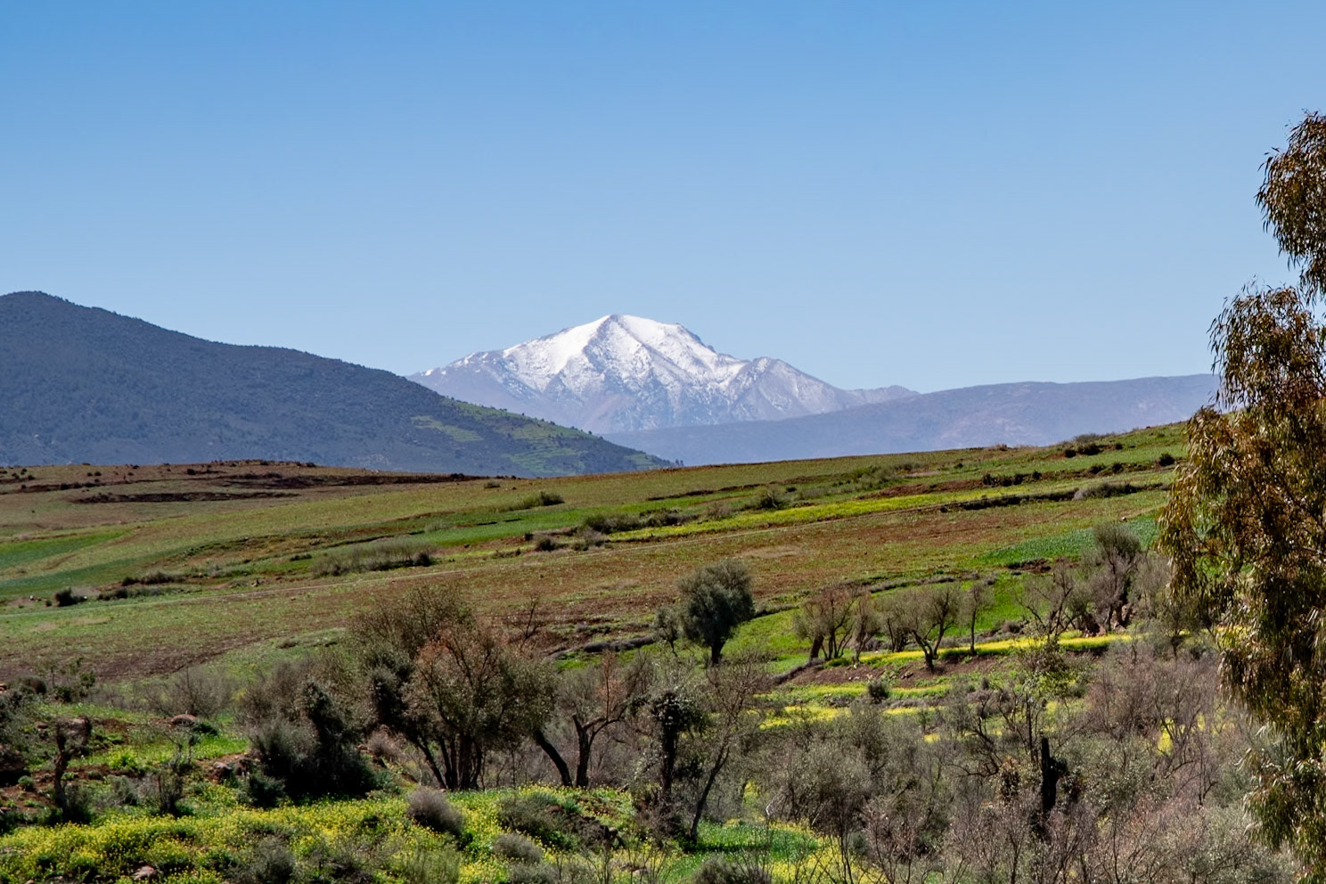 Snow-capped peaks in the High Atlas