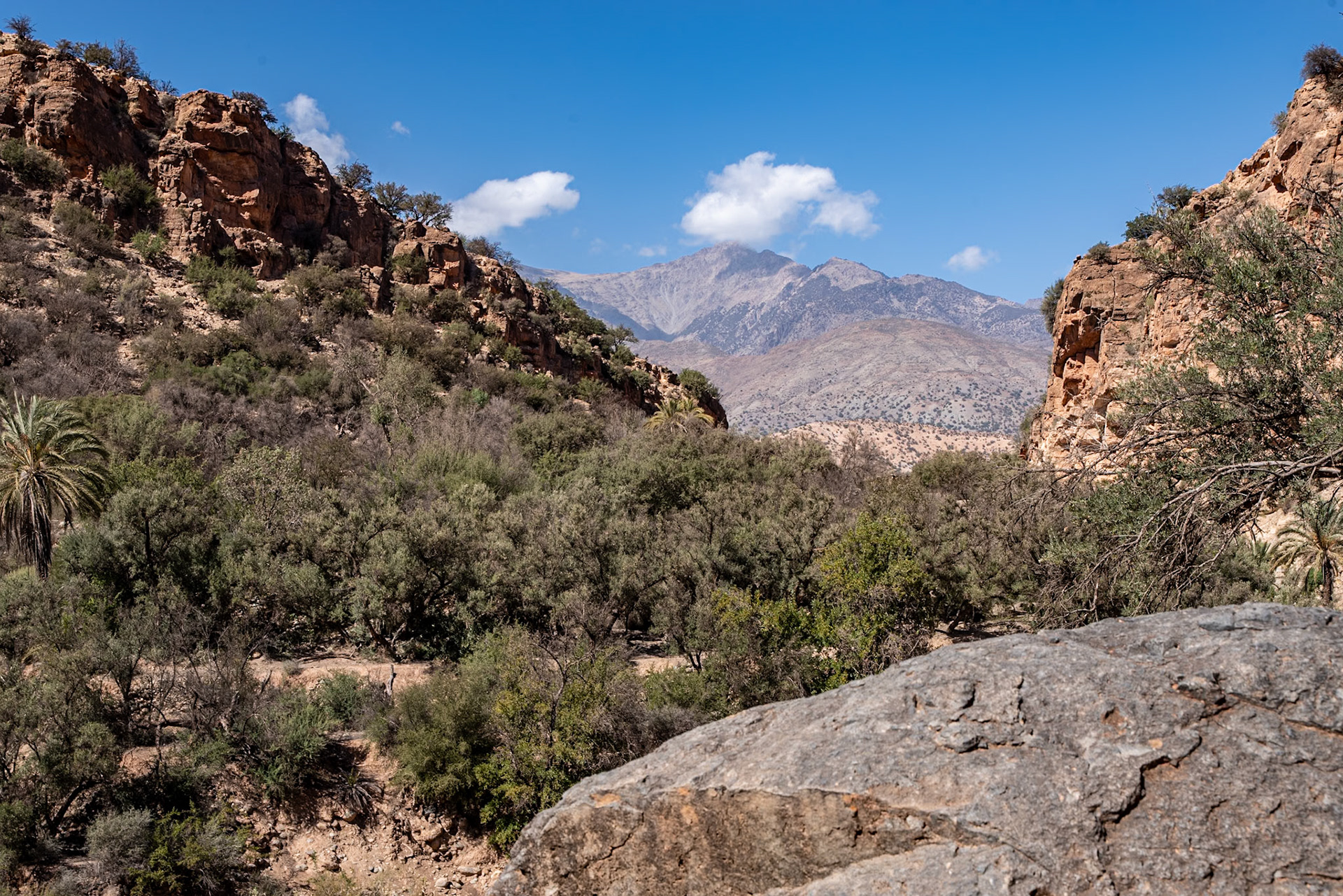 Valley in the High Atlas Mountains