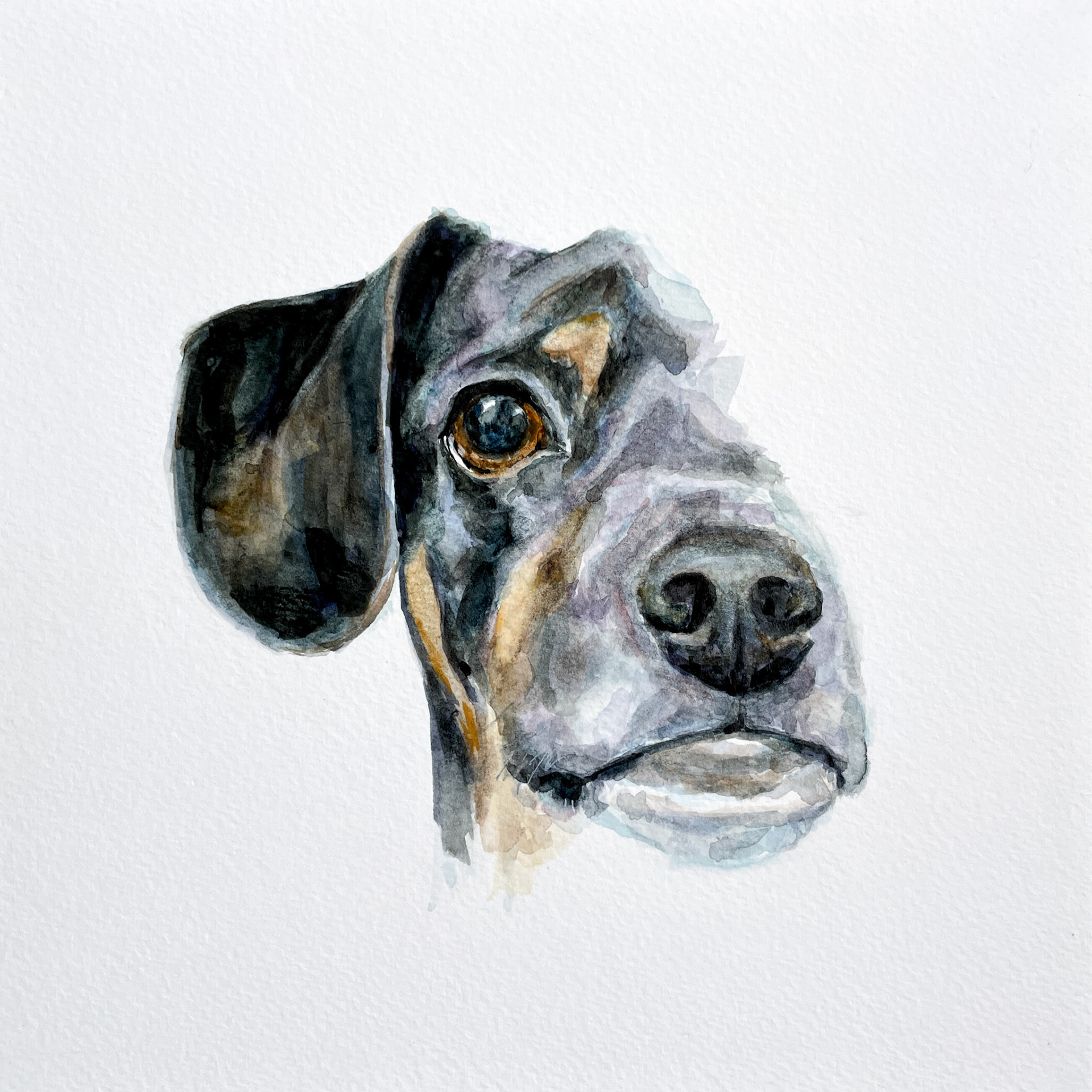 Muse 103 (Series 2) aka Boogie