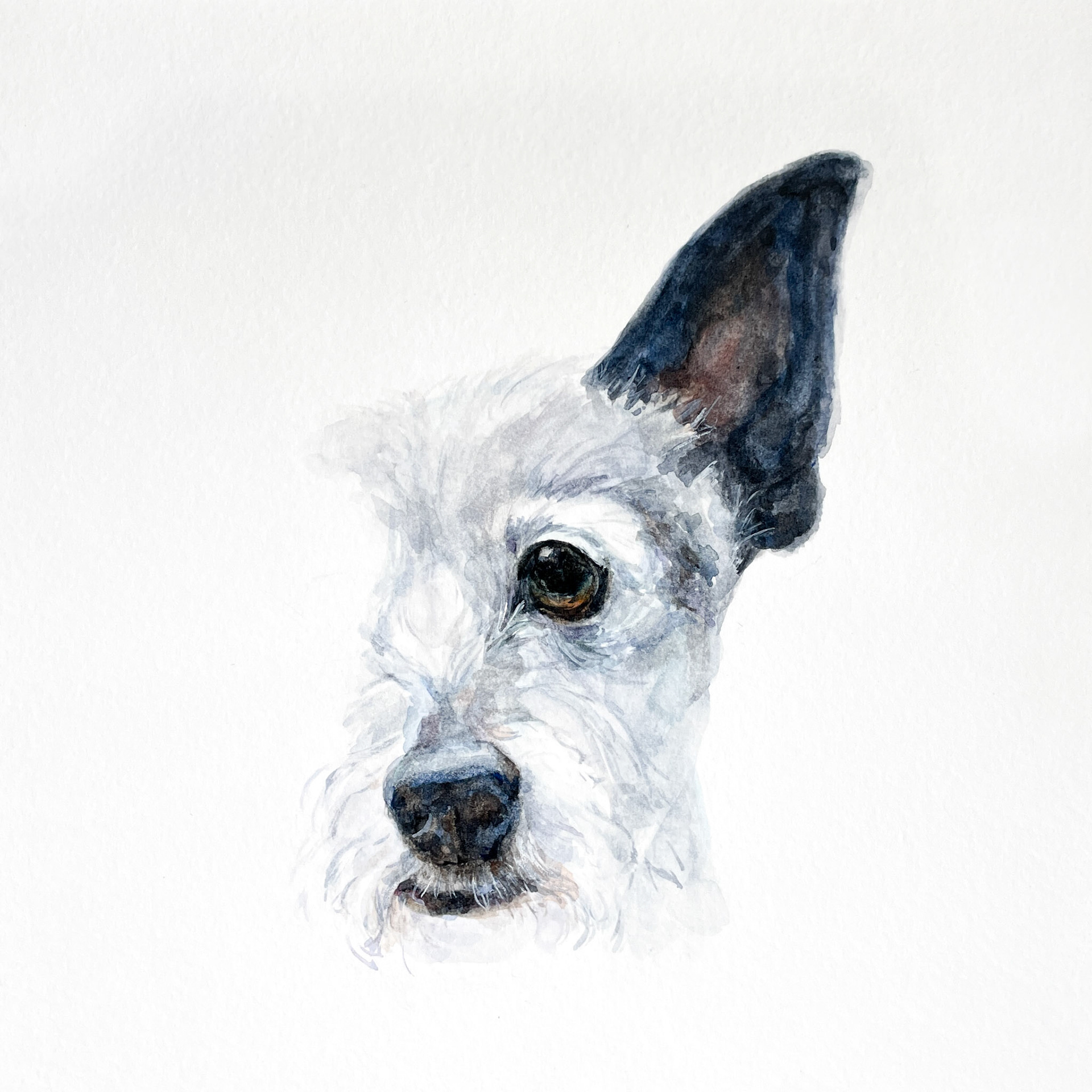 Muse 104 (Series 2) aka Daisy