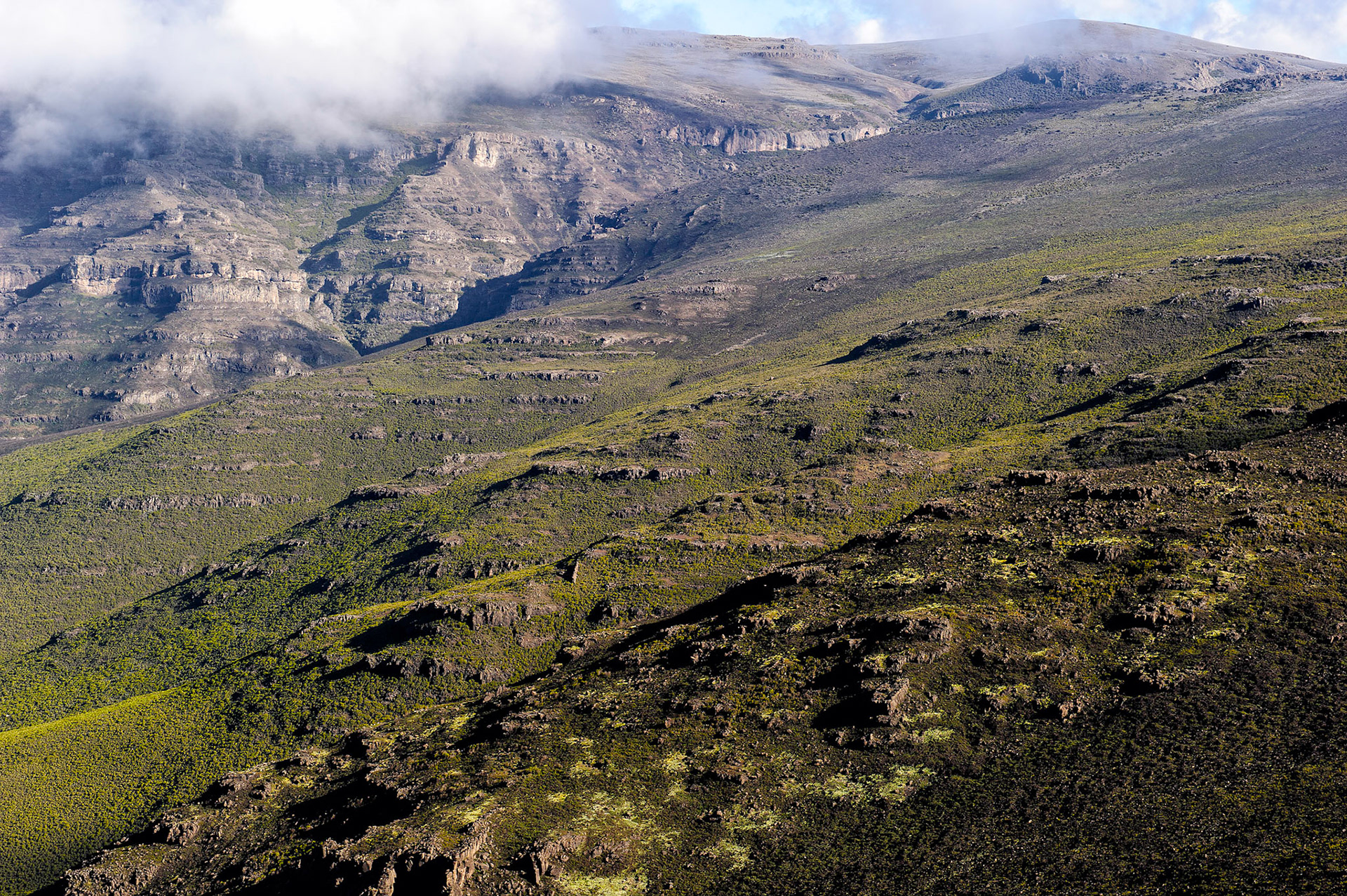 Harena Escarpment - Bale Mountain National Park, Ethiopia