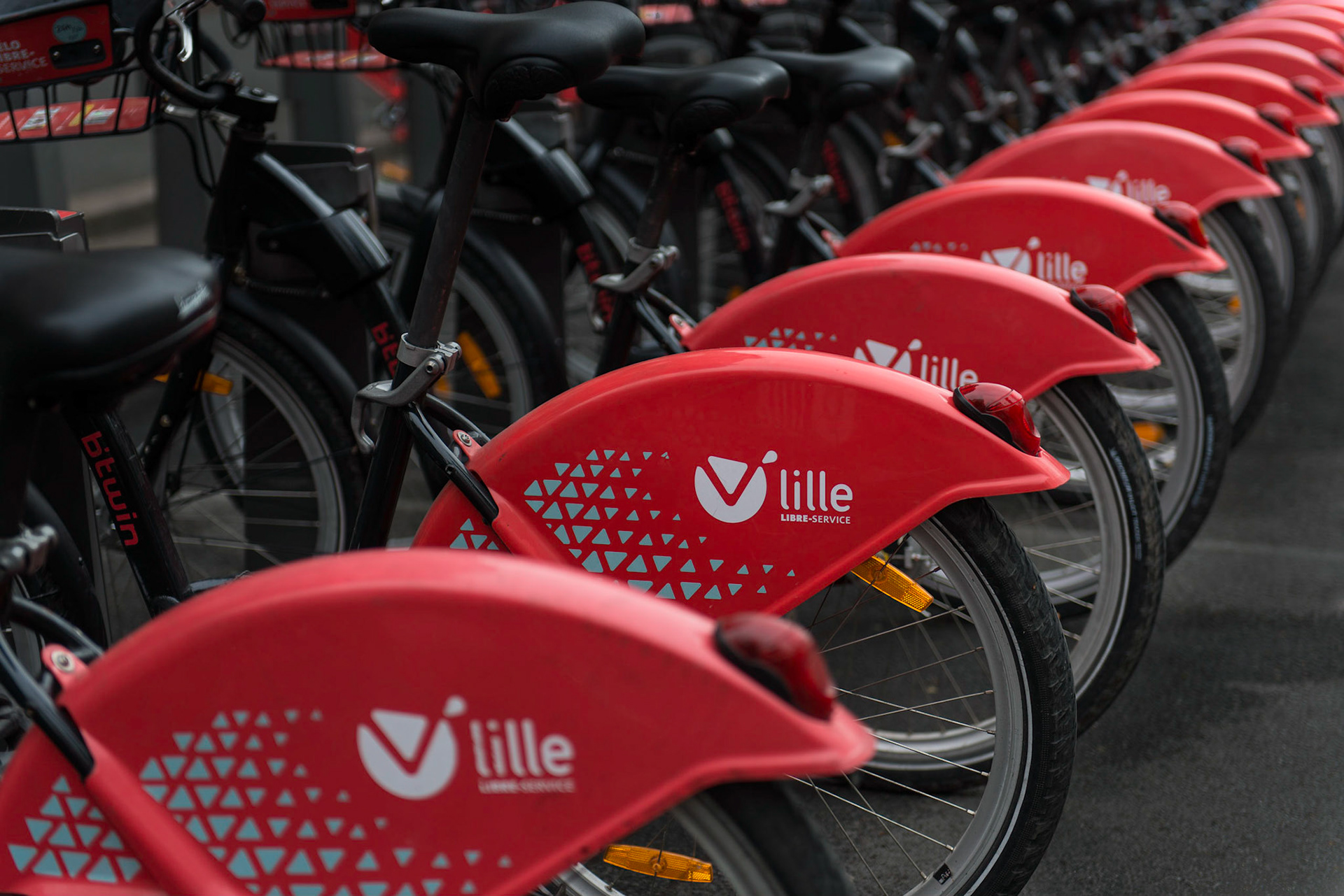 Bicycle Rentals - Lille, France