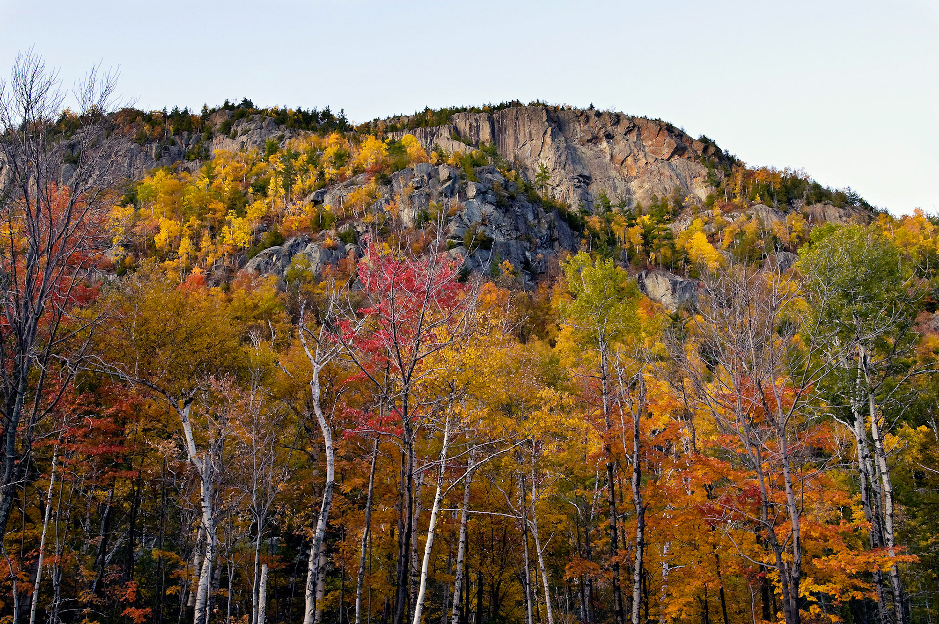 Looking Towards Noble Mountain - Adirondack Park, New York