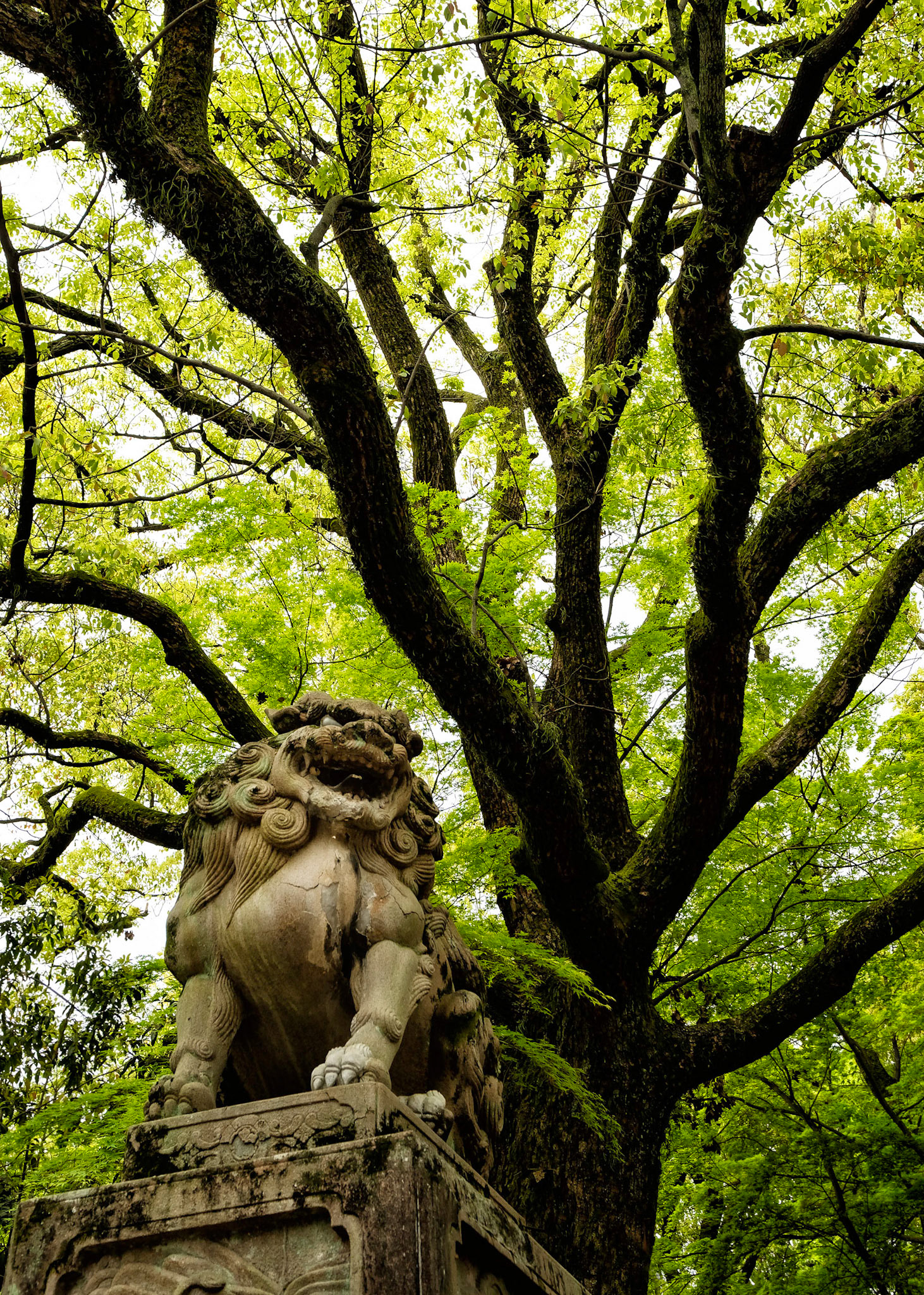 Yasaka Shrine - Kyoto, Japan