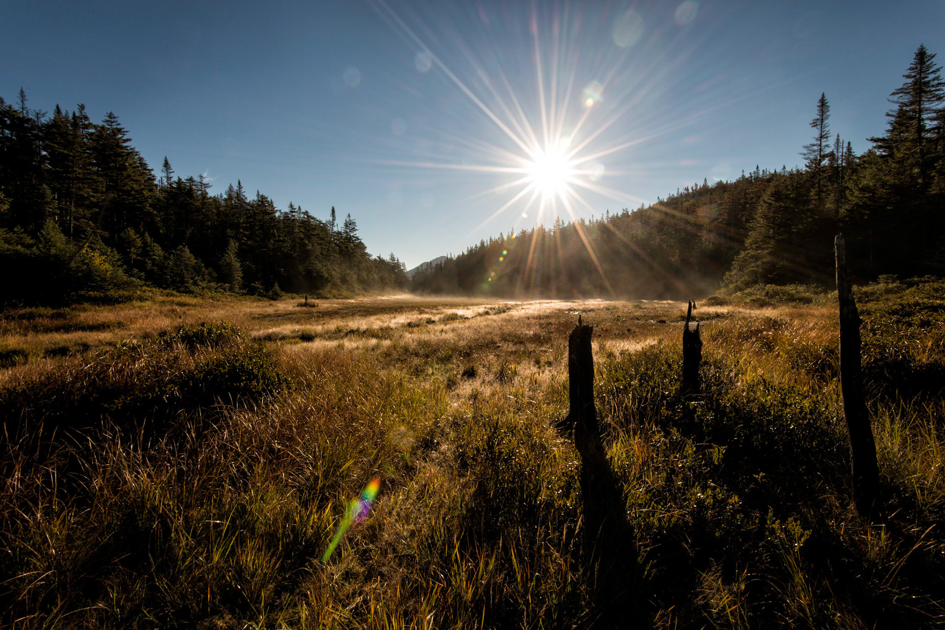 Wallface Ponds Sunrise - High Peaks Region, Adirondacks, New York
