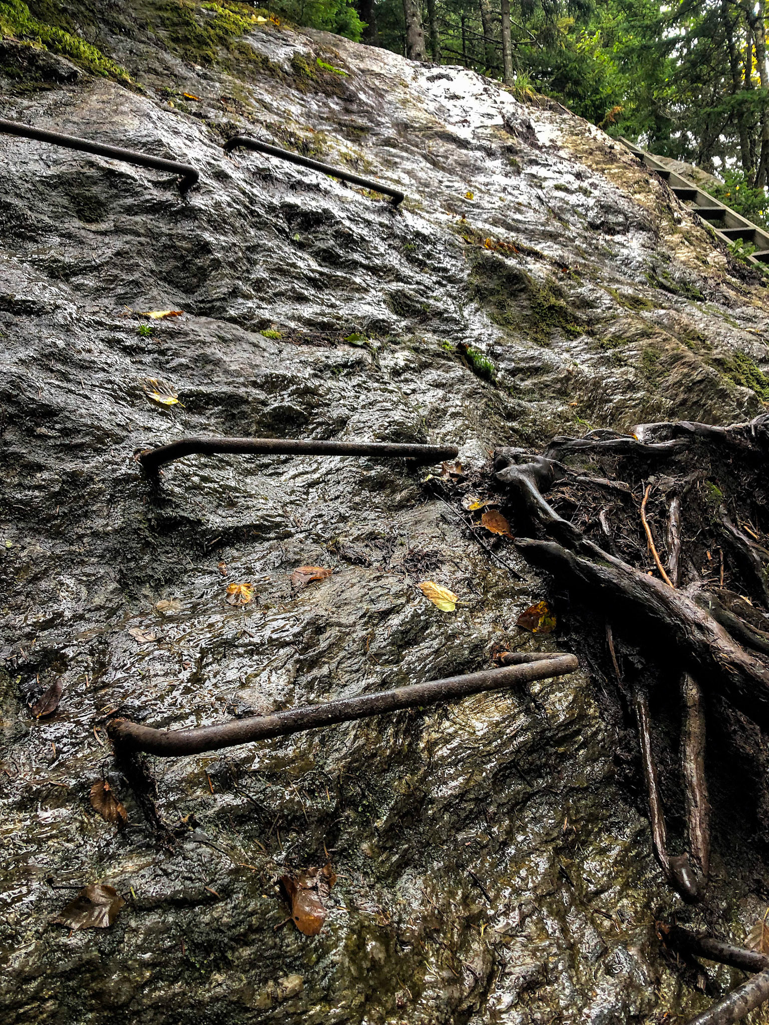Rock, Roots &amp; Water - Waitsfield, VT