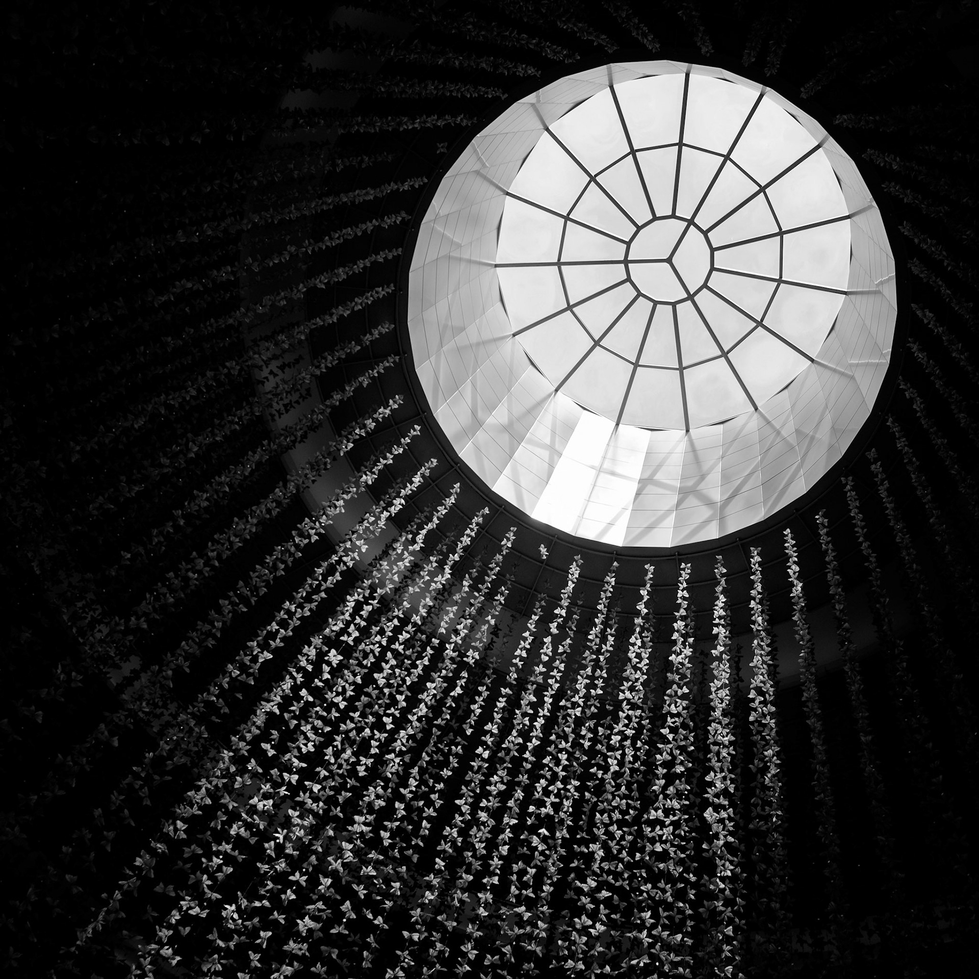 Skylight  - Dubai, UAE