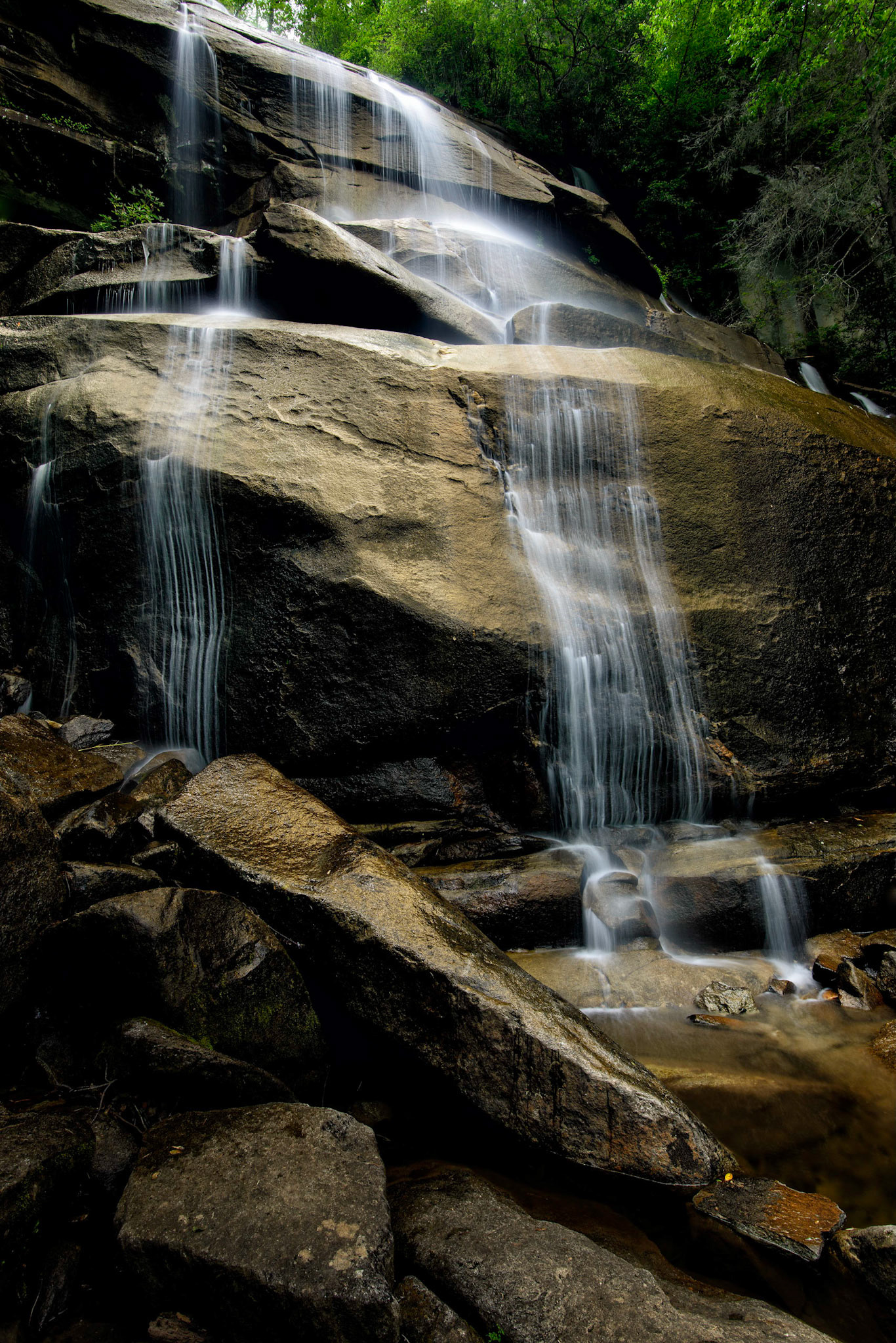 Pisgah National Forest, North Carolina