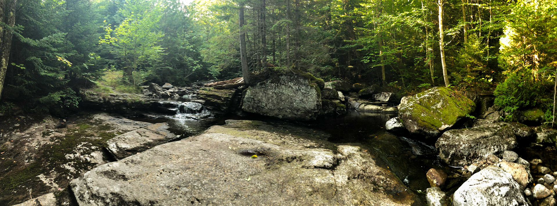 Near Wanika Falls - Northville Placid Trail, New York