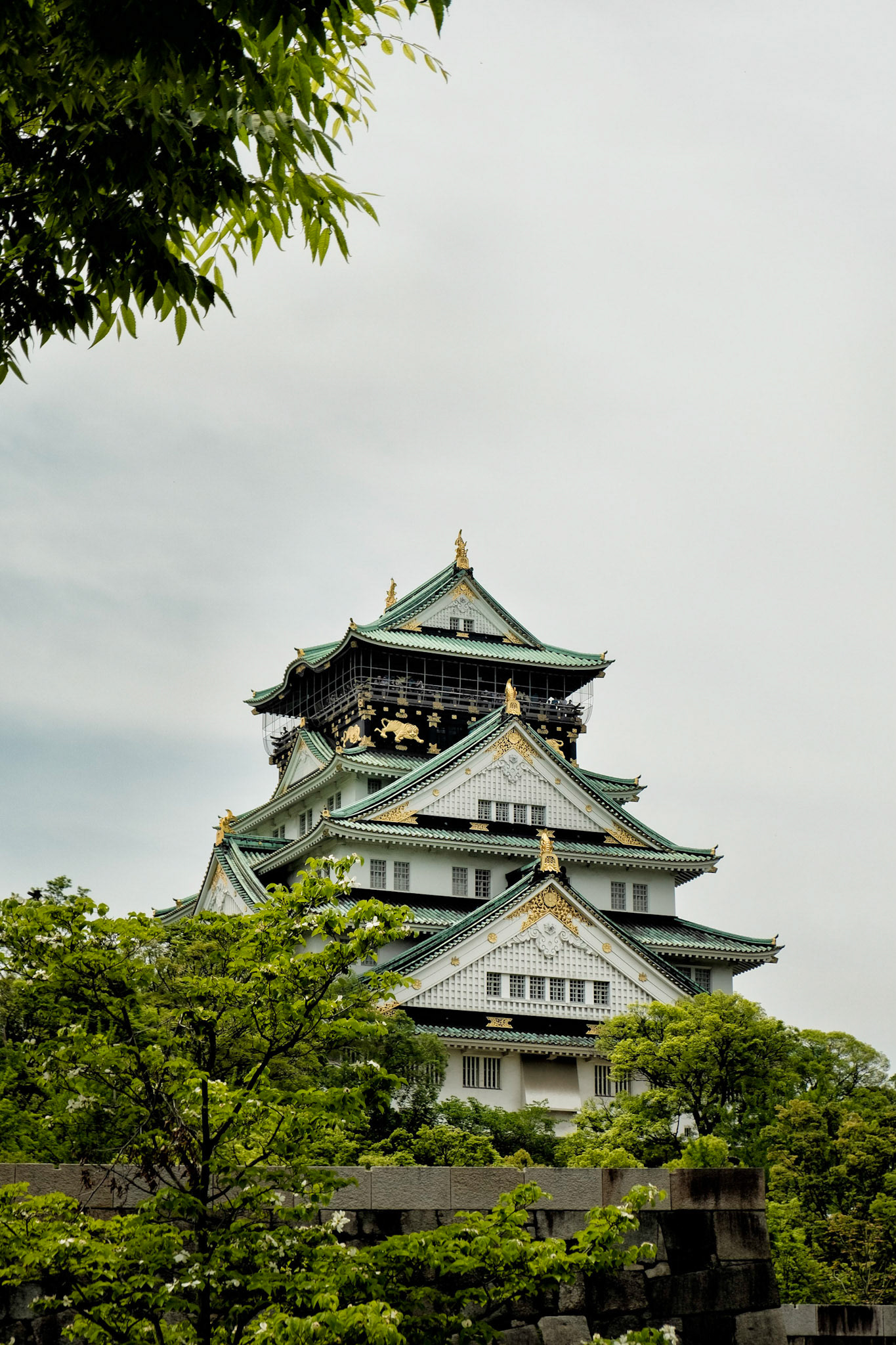 Osaka-jo 'Osaka Castle' - Osaka, Japan