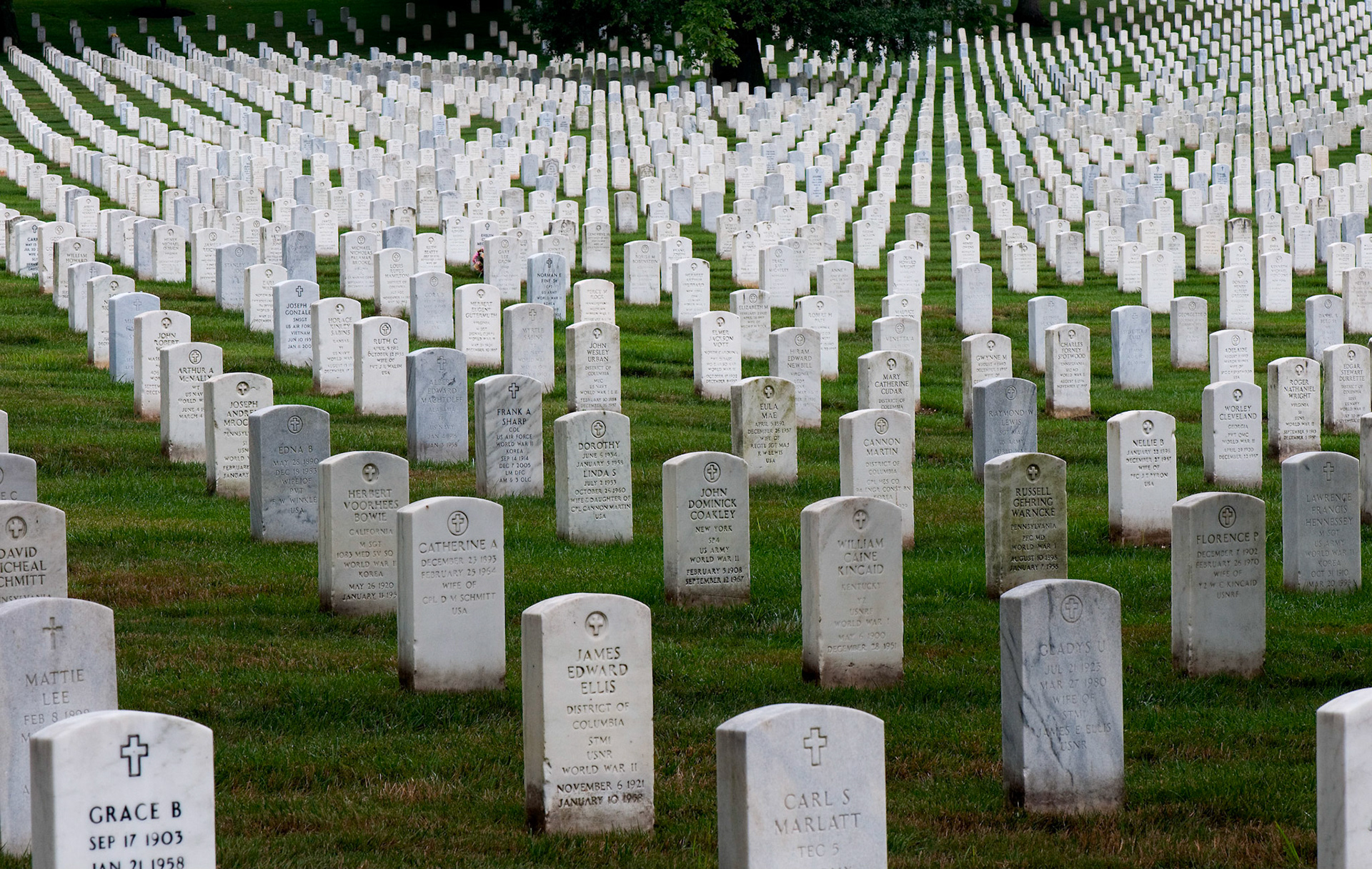 Arlington Cemetery - Arlington, Virginia