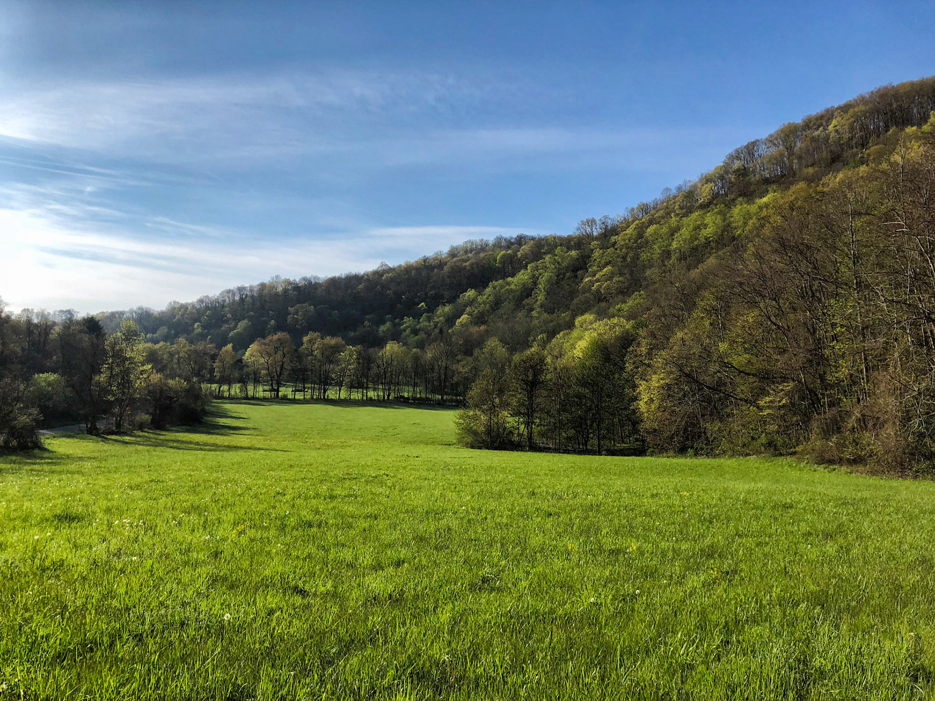The Arrival of Spring, near Pearisburg, VA