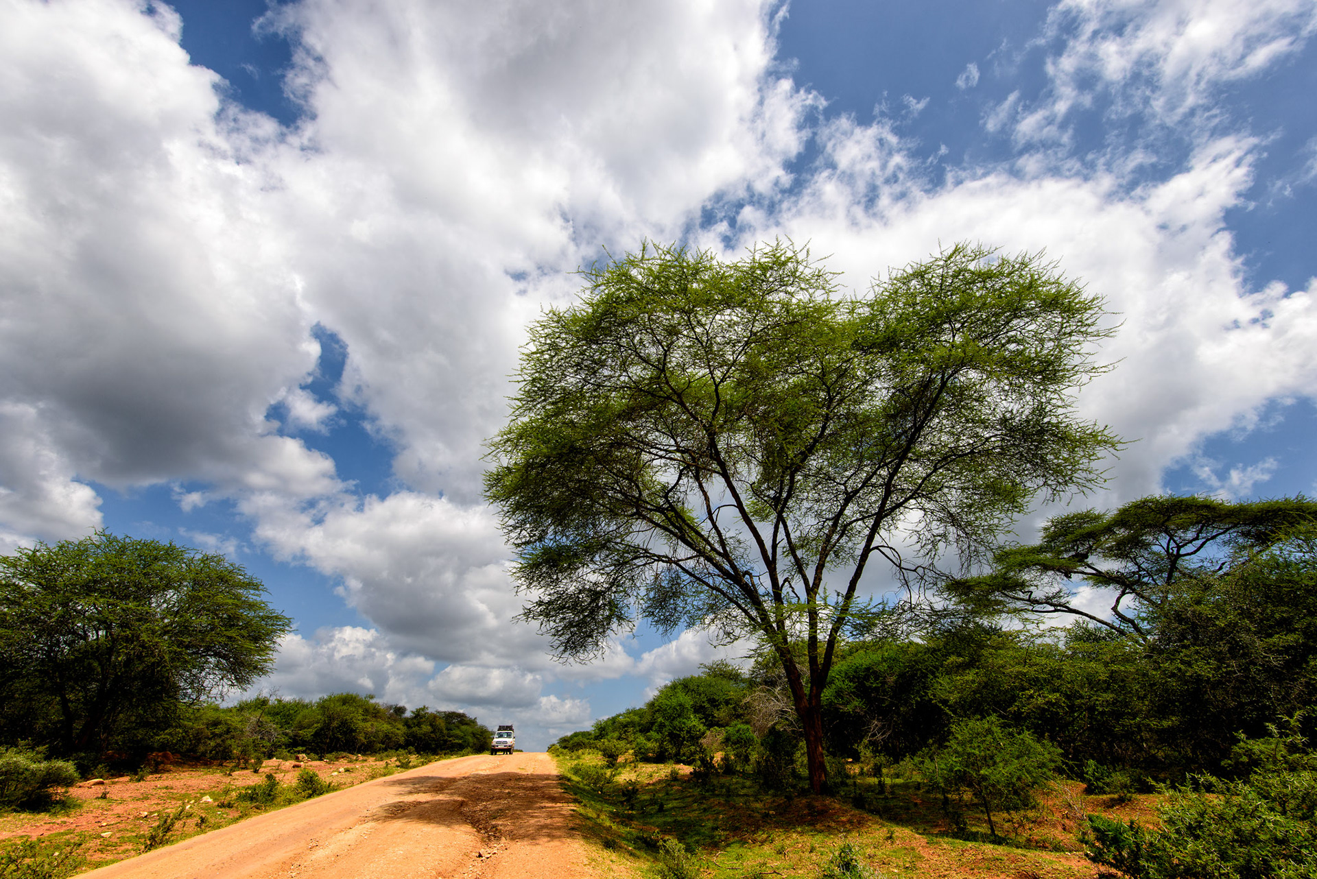 Thanksgiving Day - Somewhere south of the Harena Forest, Ethiopia