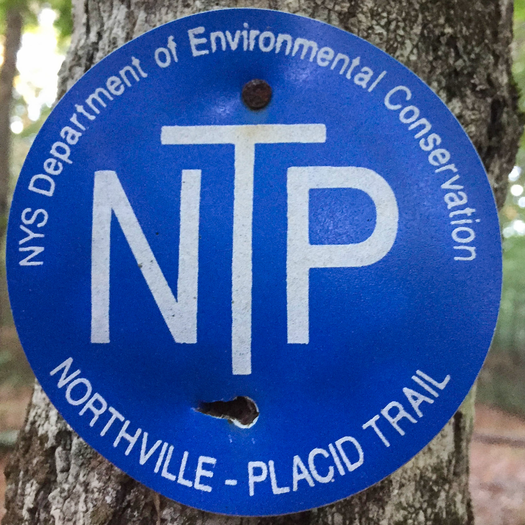 NPT Marker