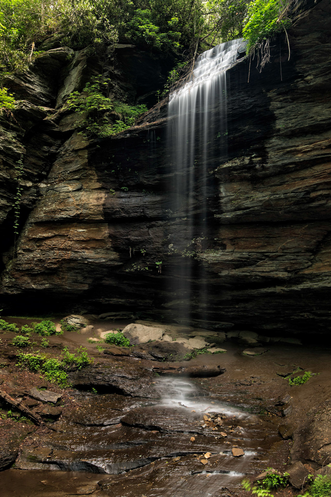 Moore Cove Falls - Pisgah National Forest, North Carolina