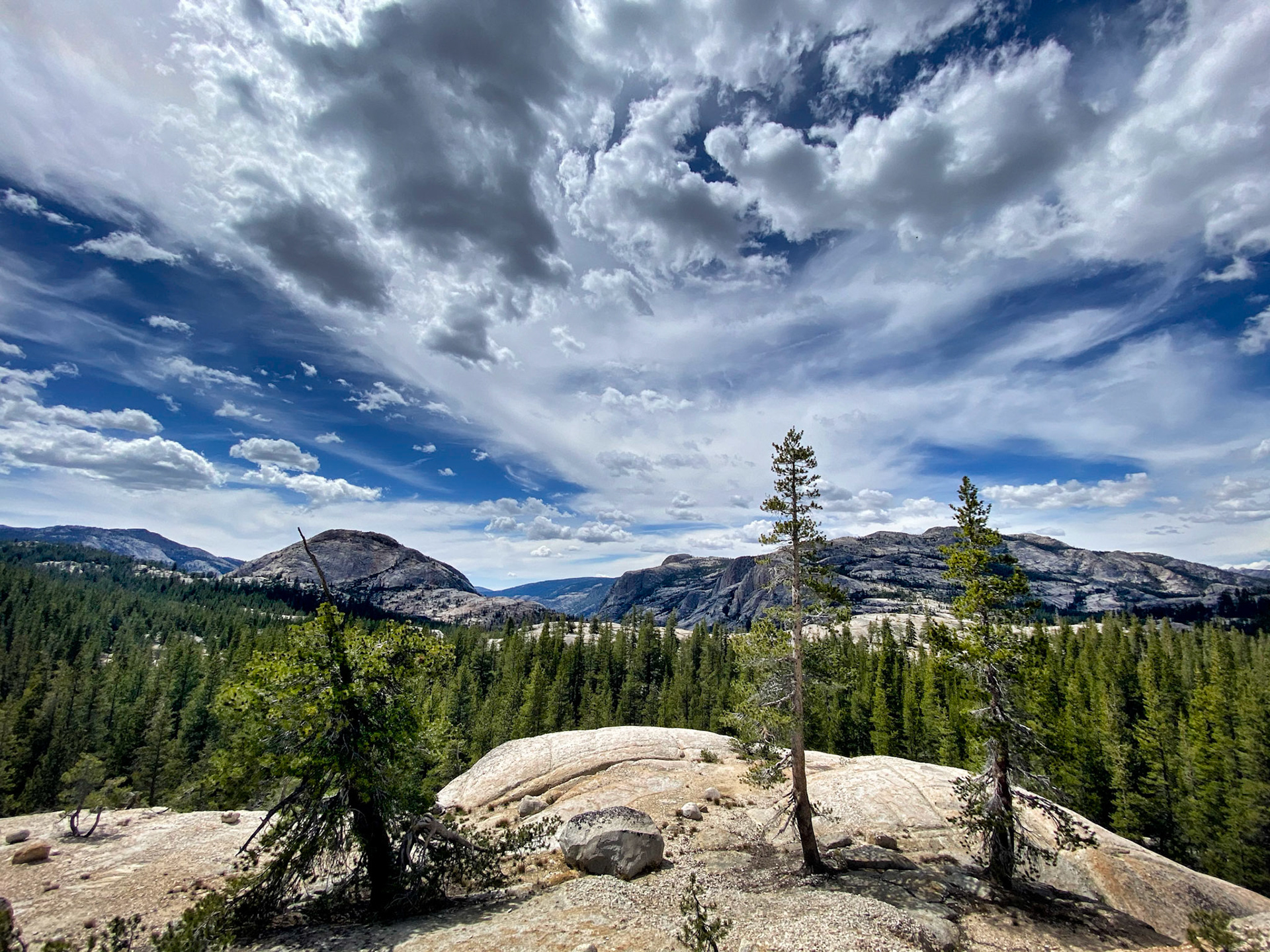 PCT: Yosemite National Park 3, Groveland, CA
