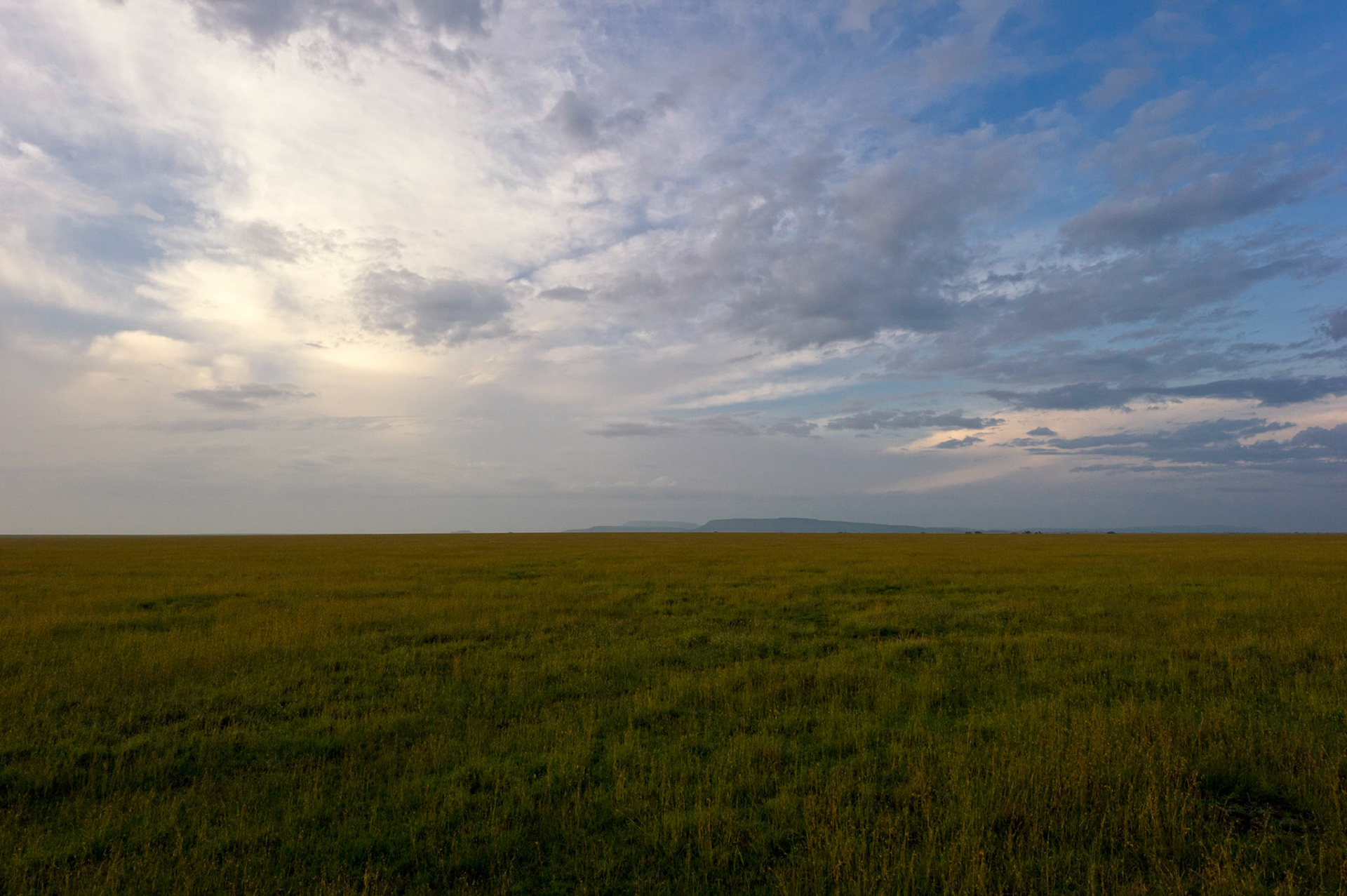 Plains of the Serengeti - Serengeti National Park, Tanzania