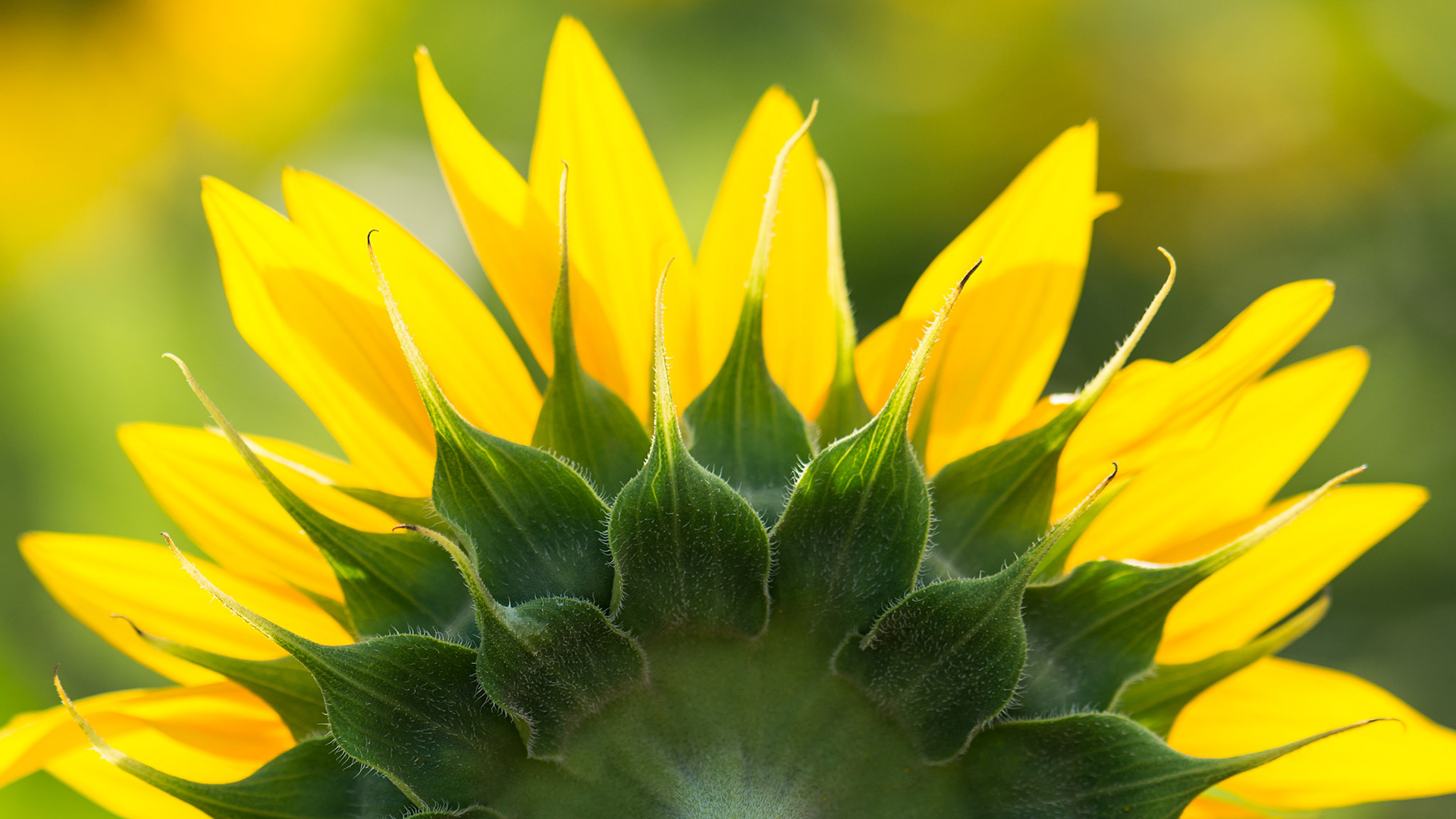 Botany Bay, South Carolina