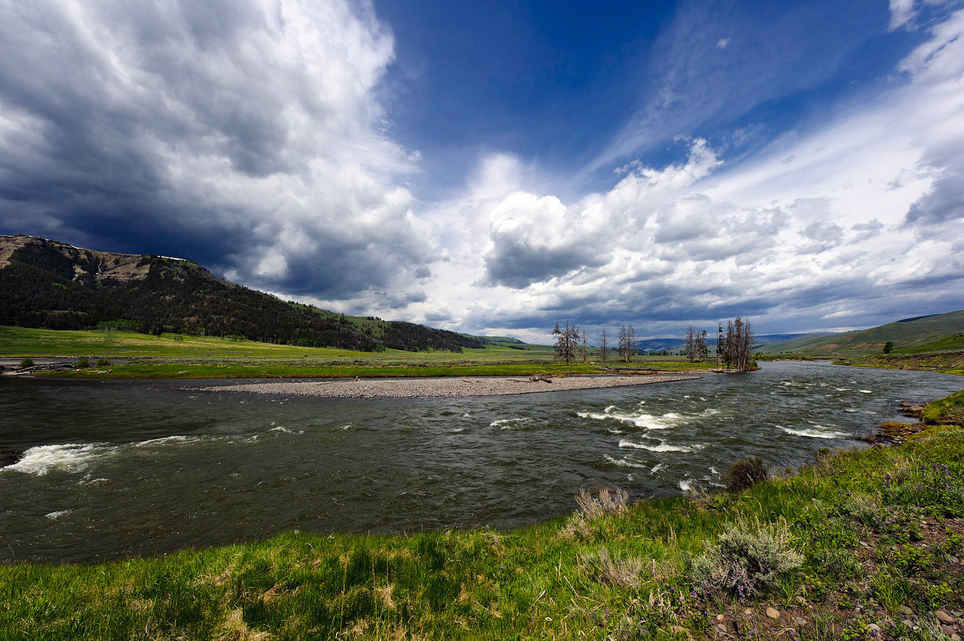 Lamar River - Yellowstone, Wyoming